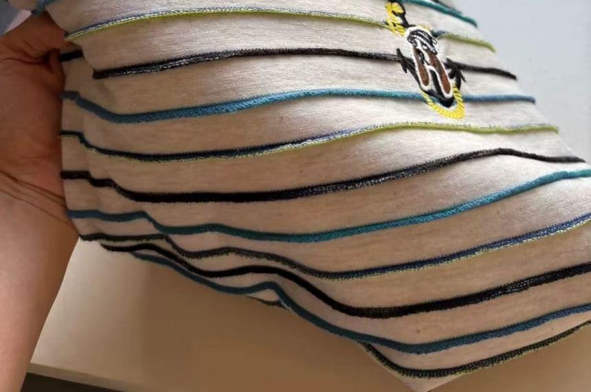 Short-Sleeve Crew Neck Striped Embroidered T-Shirt Product Image