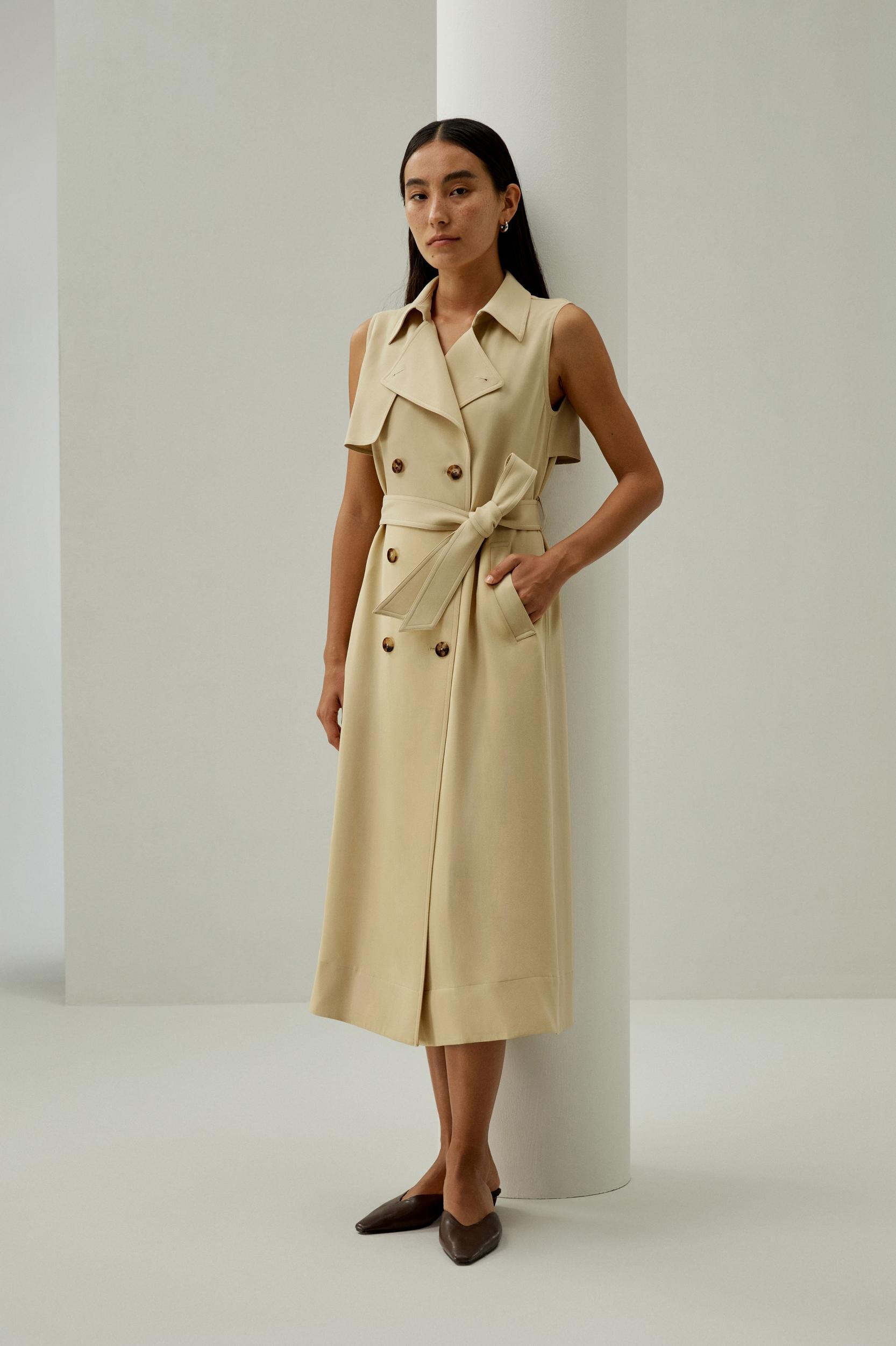 Sophisticated Sleeveless Trench Dress Product Image