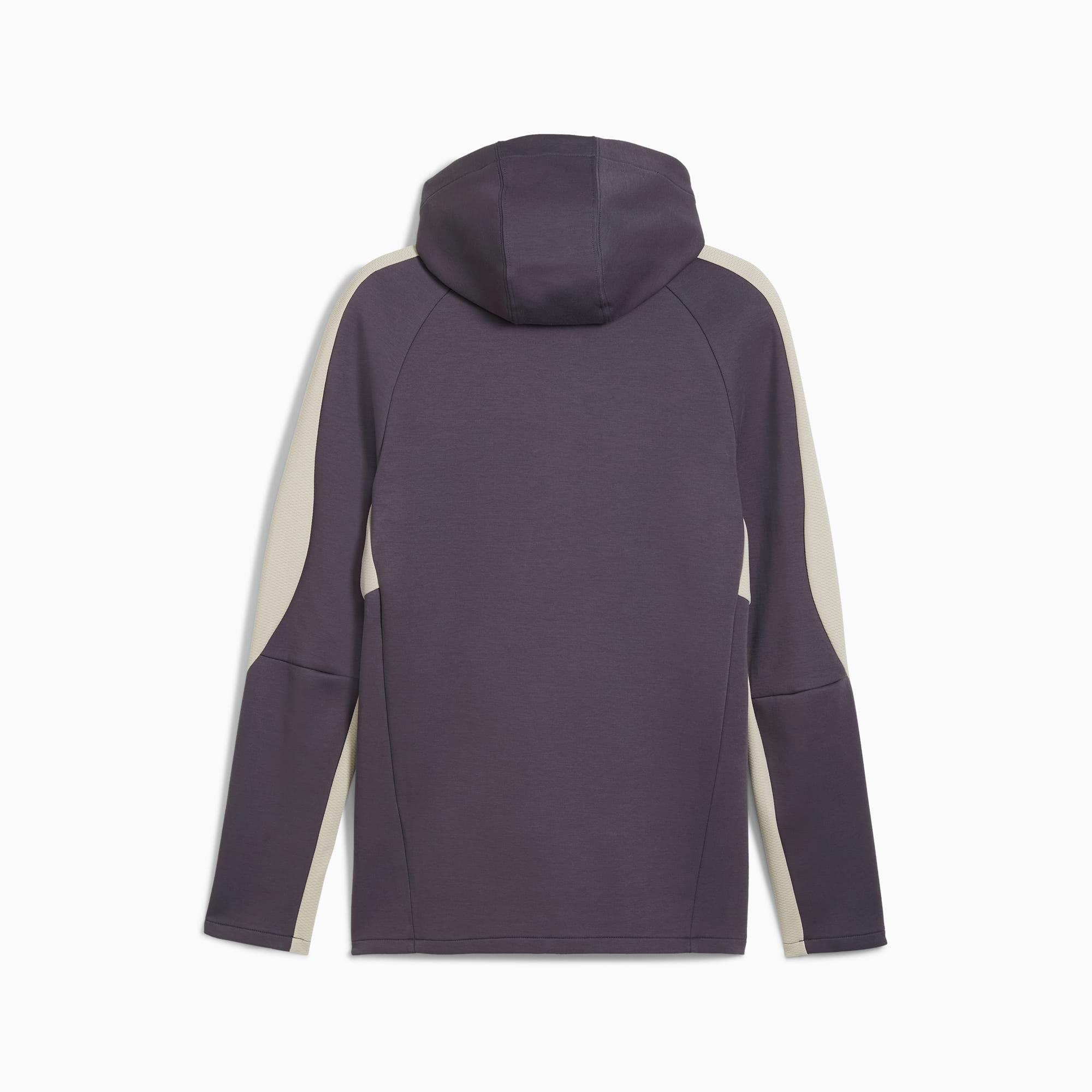 EVOSTRIPE Full-Zip Men's Hoodie Product Image