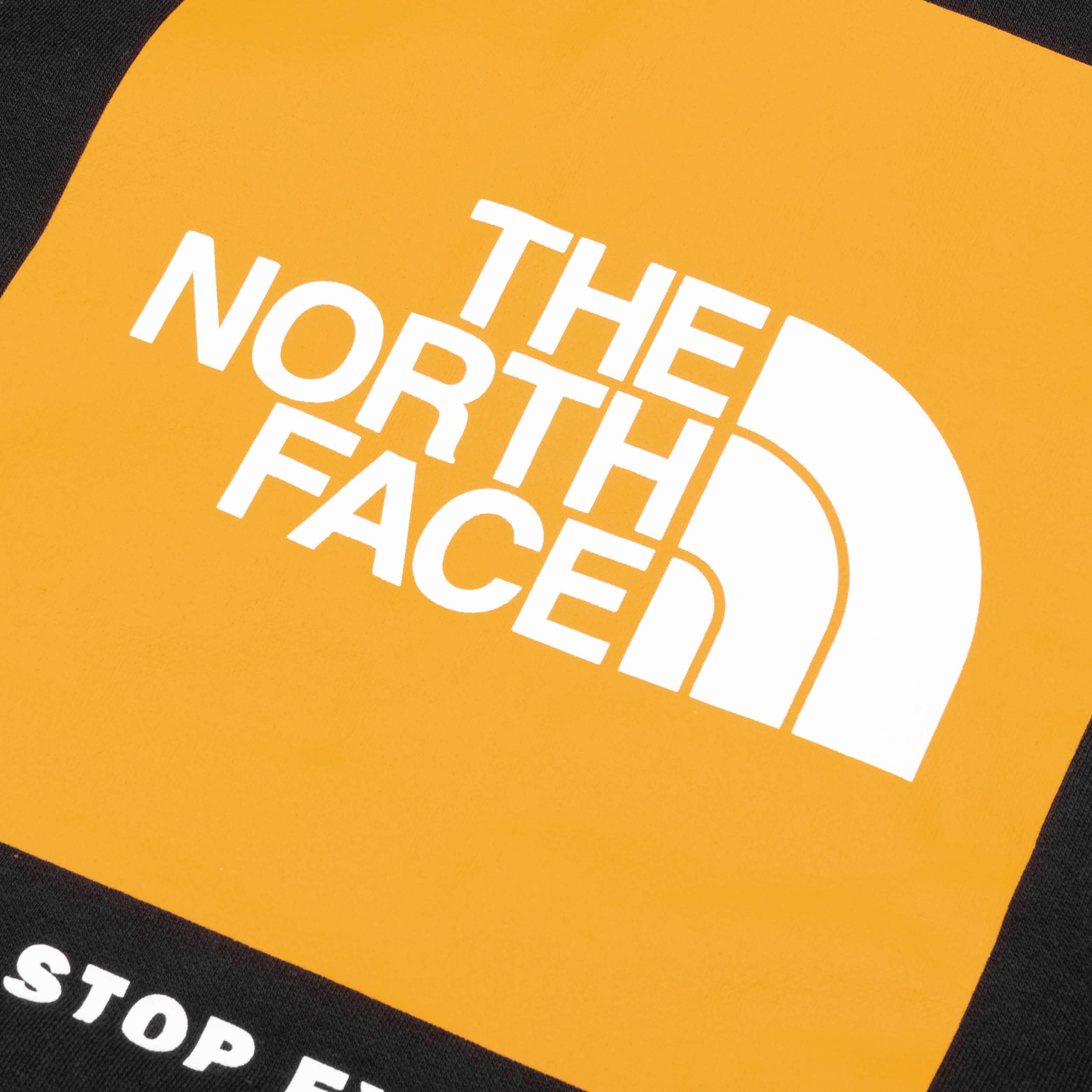 Box NSE Pullover Hoodie - TNF Black/Summit Male Product Image