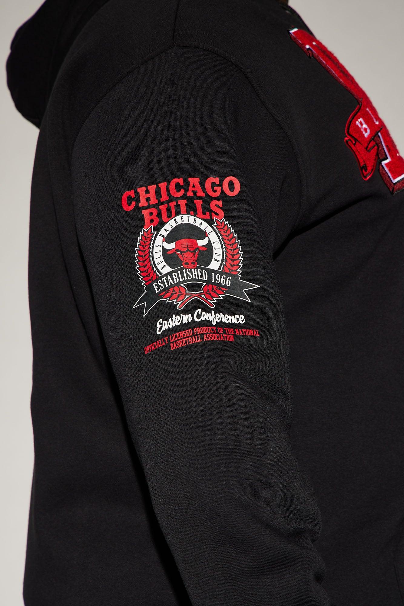 Bulls Campus Hoodie - Black Male Product Image