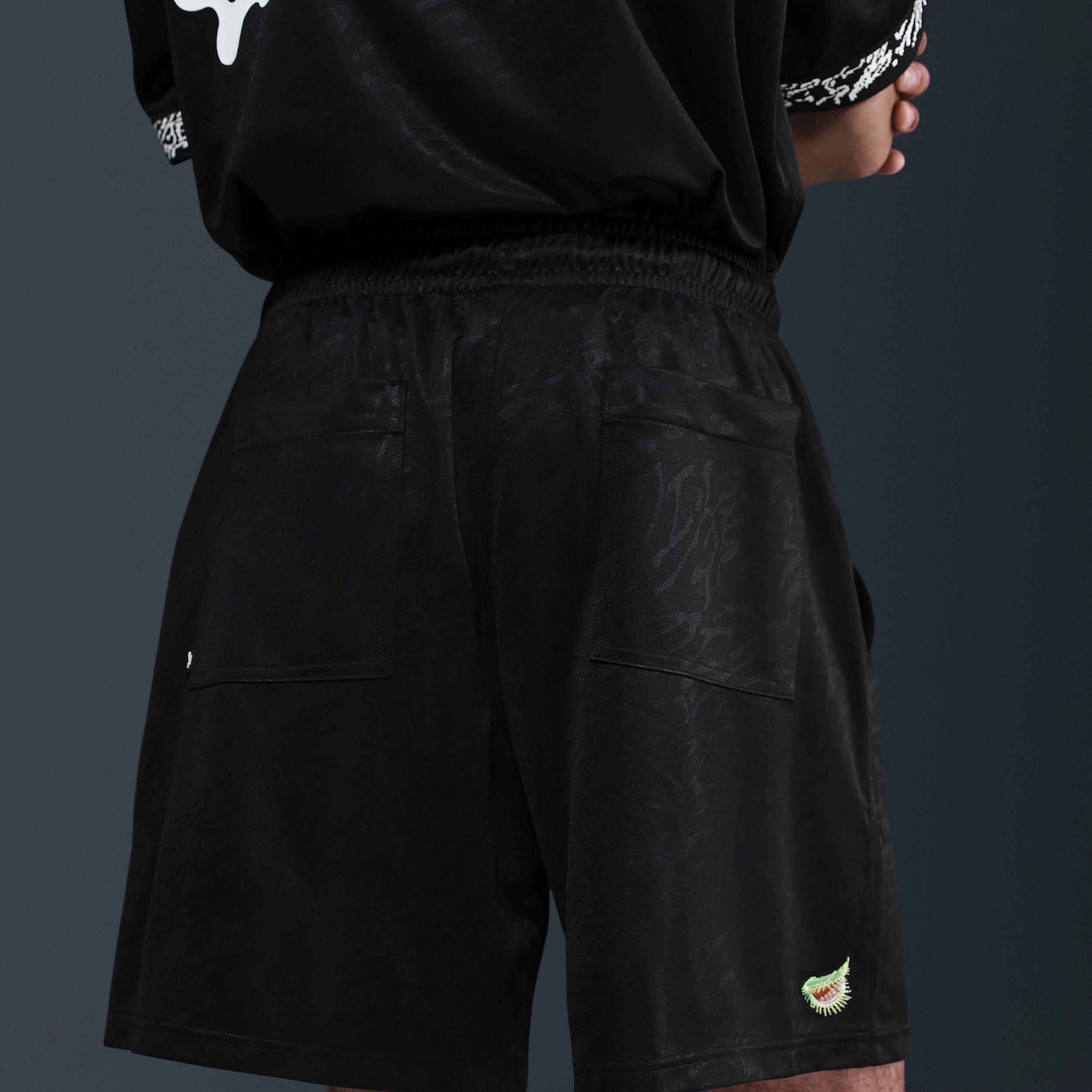 Nike SB Dri-FIT Skate Shorts Product Image