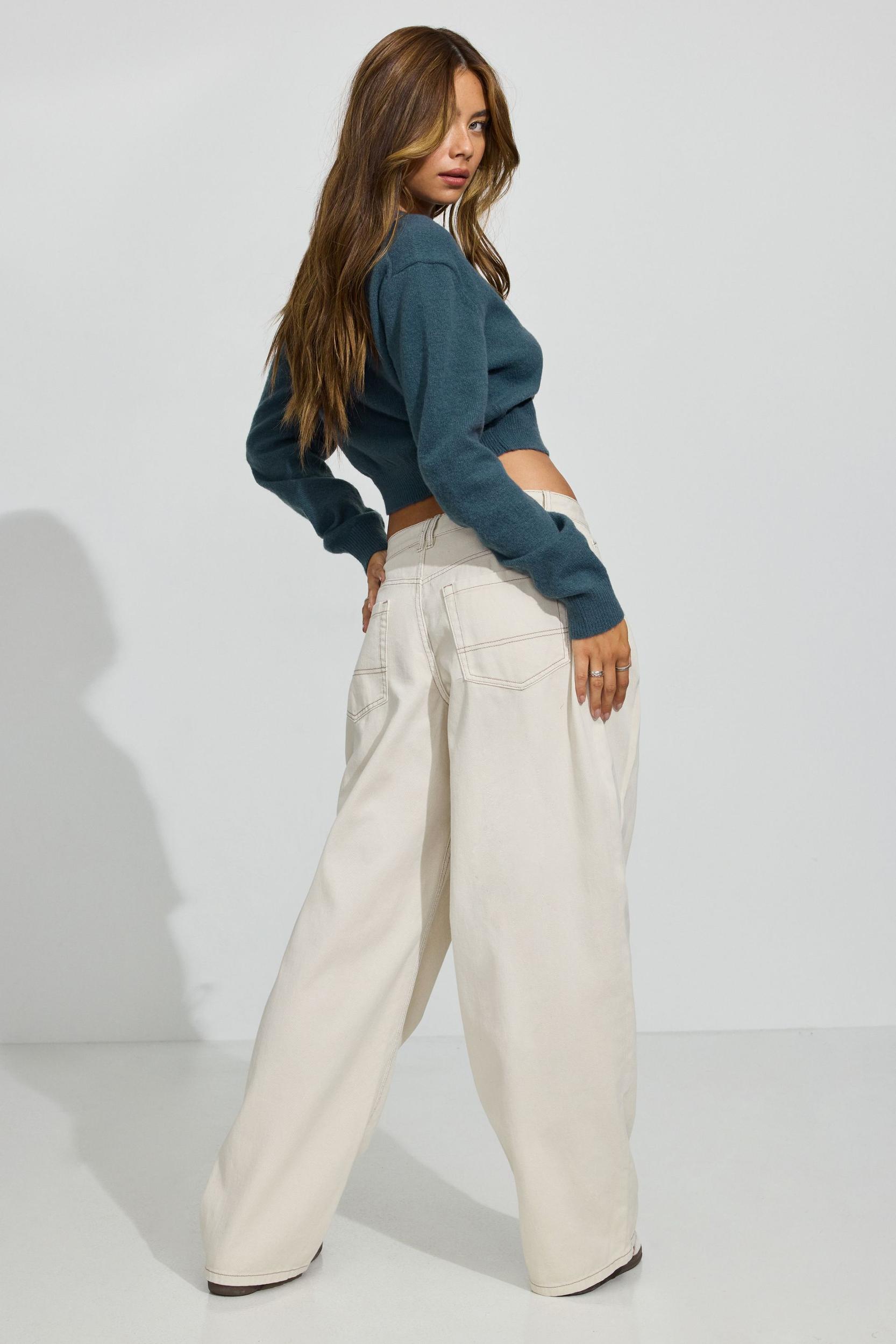 Kenzie Low Rise Baggy Pants Product Image