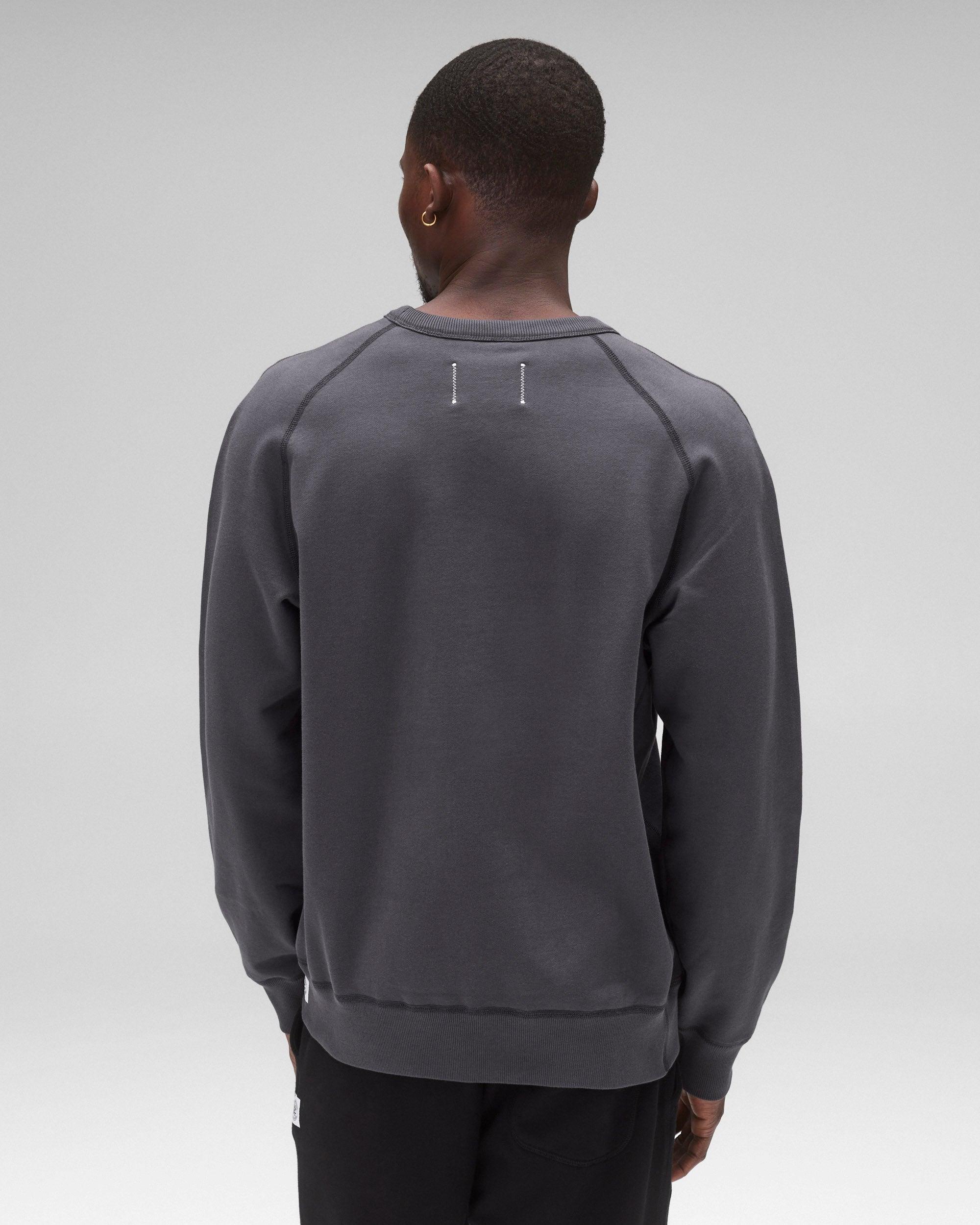Midweight Terry Standard Crewneck Male Product Image