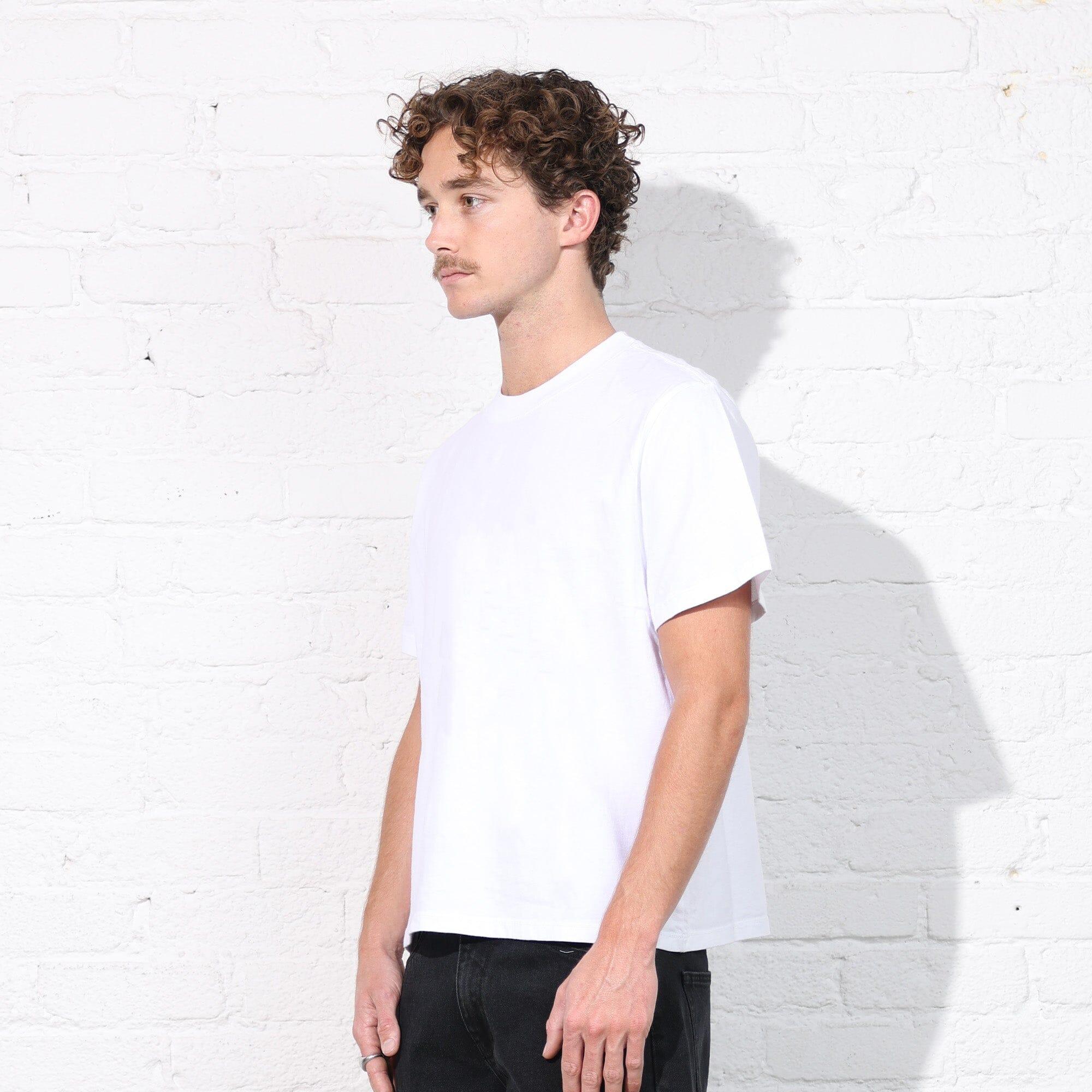 Silverlake Crop Tee II Product Image