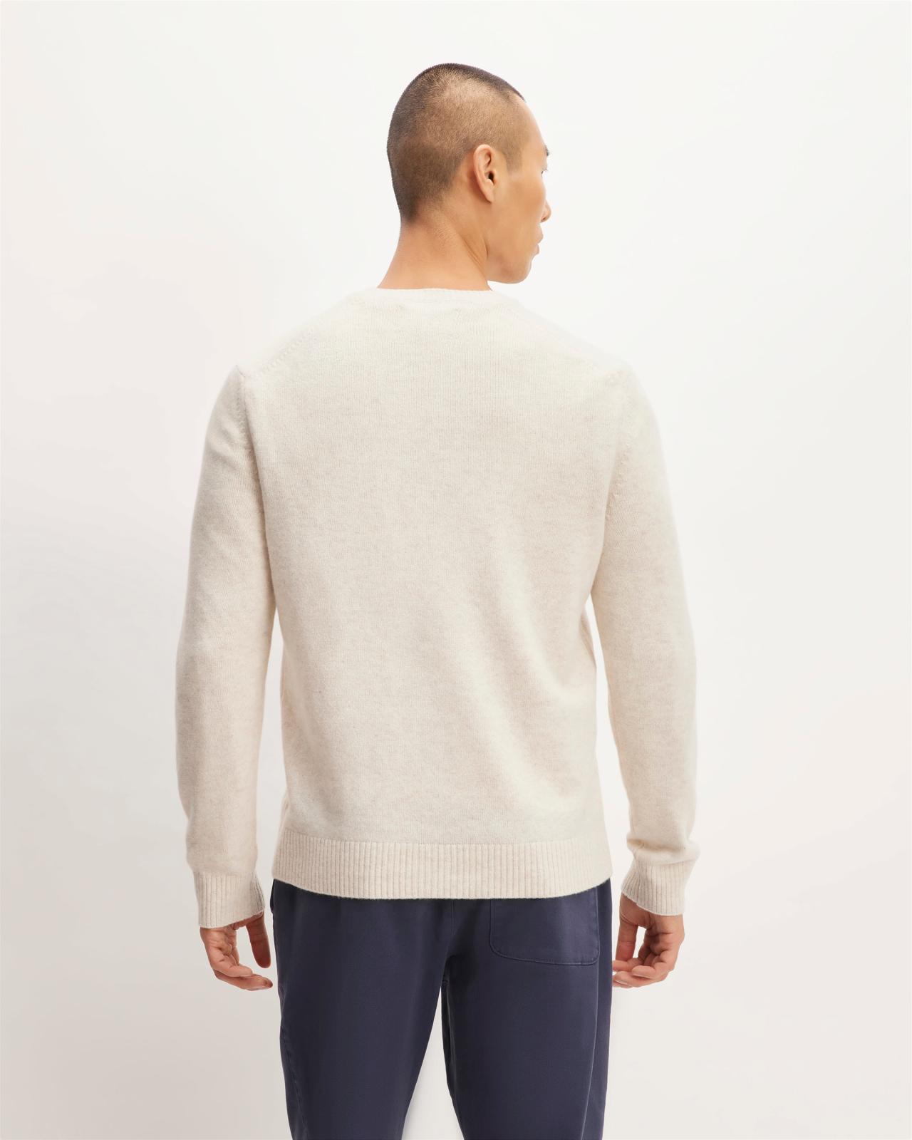 Mens Premium Merino Crew Neck Sweater by Everlane Product Image