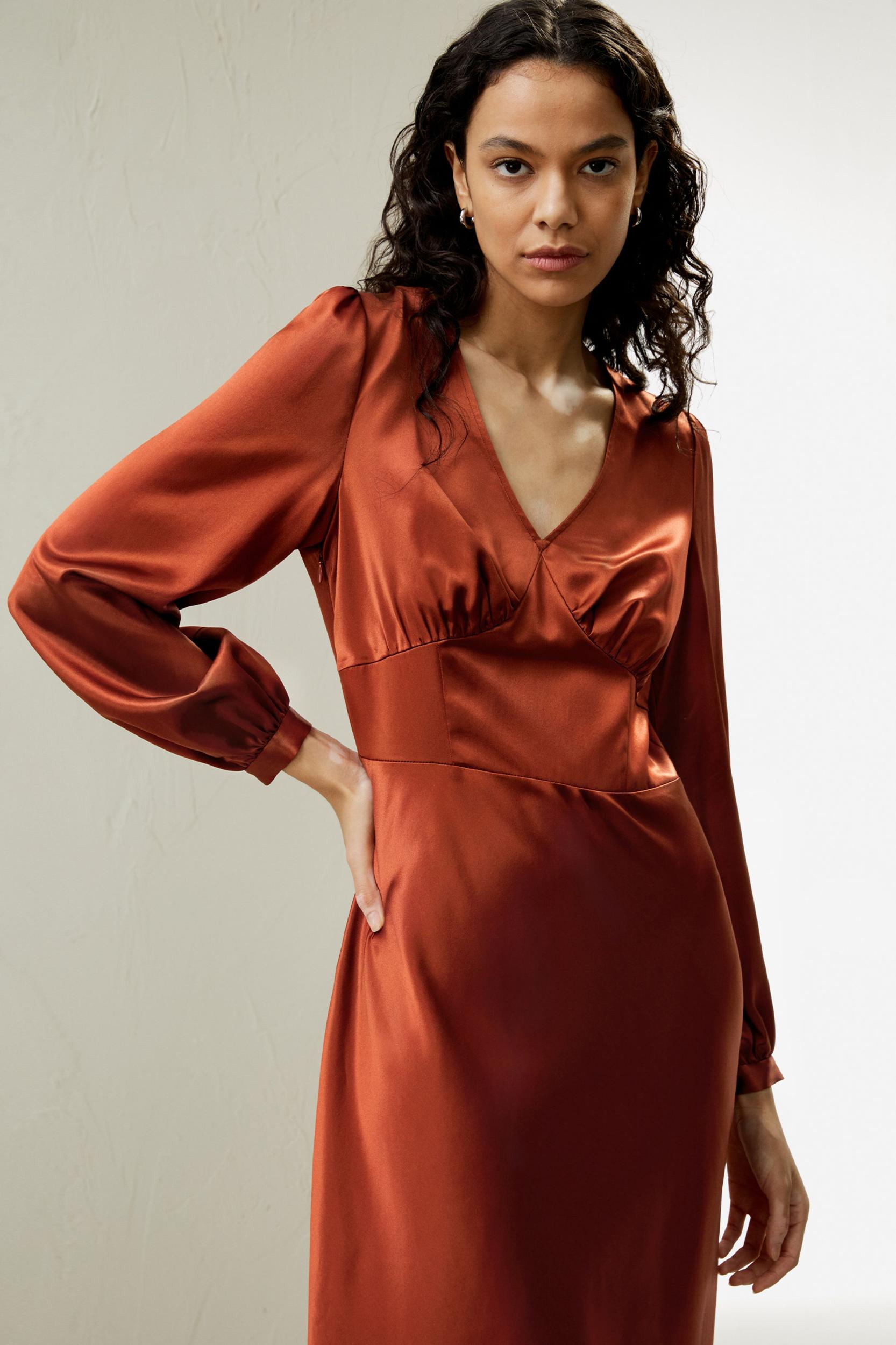 LILYSILK Long Sleeve Dress Silk for Women Red Clay Natural Silk Versatile Pleated Cups Dress 2 Product Image