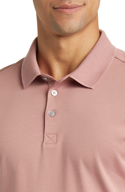 Robert Barakett Men's Georgia Pima Cotton Polo Product Image