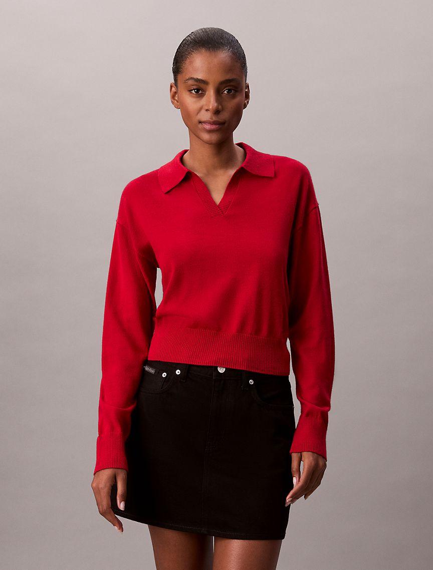 Merino Wool Blend Relaxed Polo Sweater Product Image