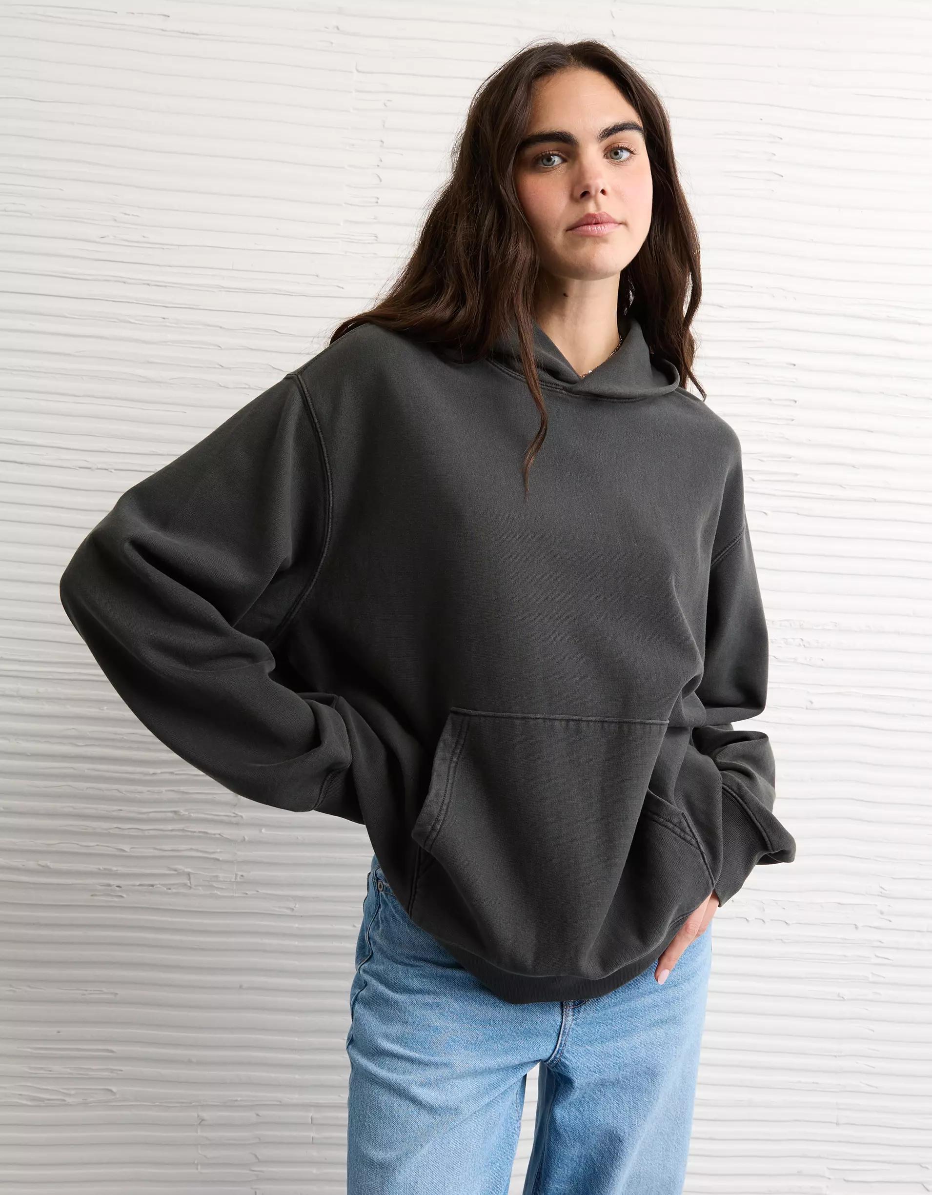 AE Laidback Luxe Heavyweight Hoodie Product Image