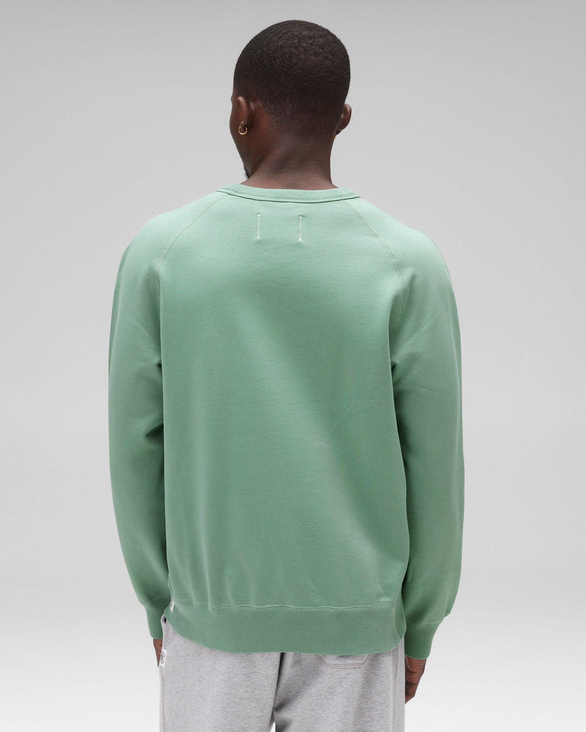 Midweight Terry Standard Crewneck Male Product Image