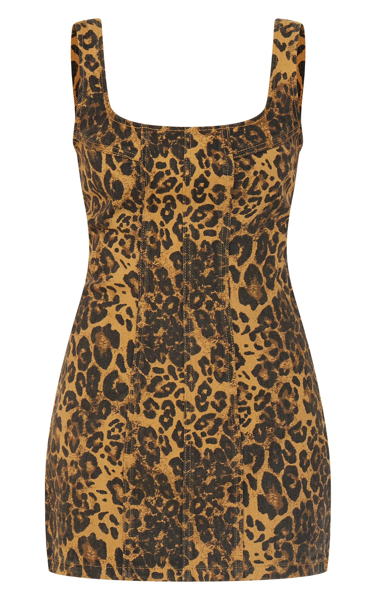 Brown Leopard Print Seam Detail Mini Dress Product Image