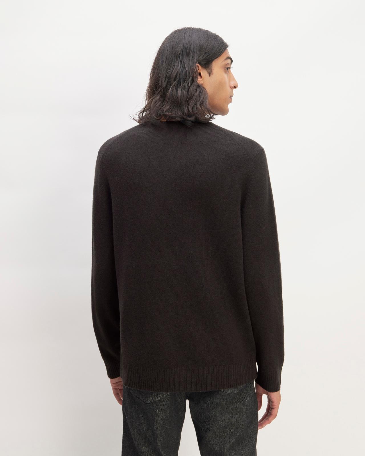 Mens Premium Merino Crew Neck Sweater by Everlane Product Image