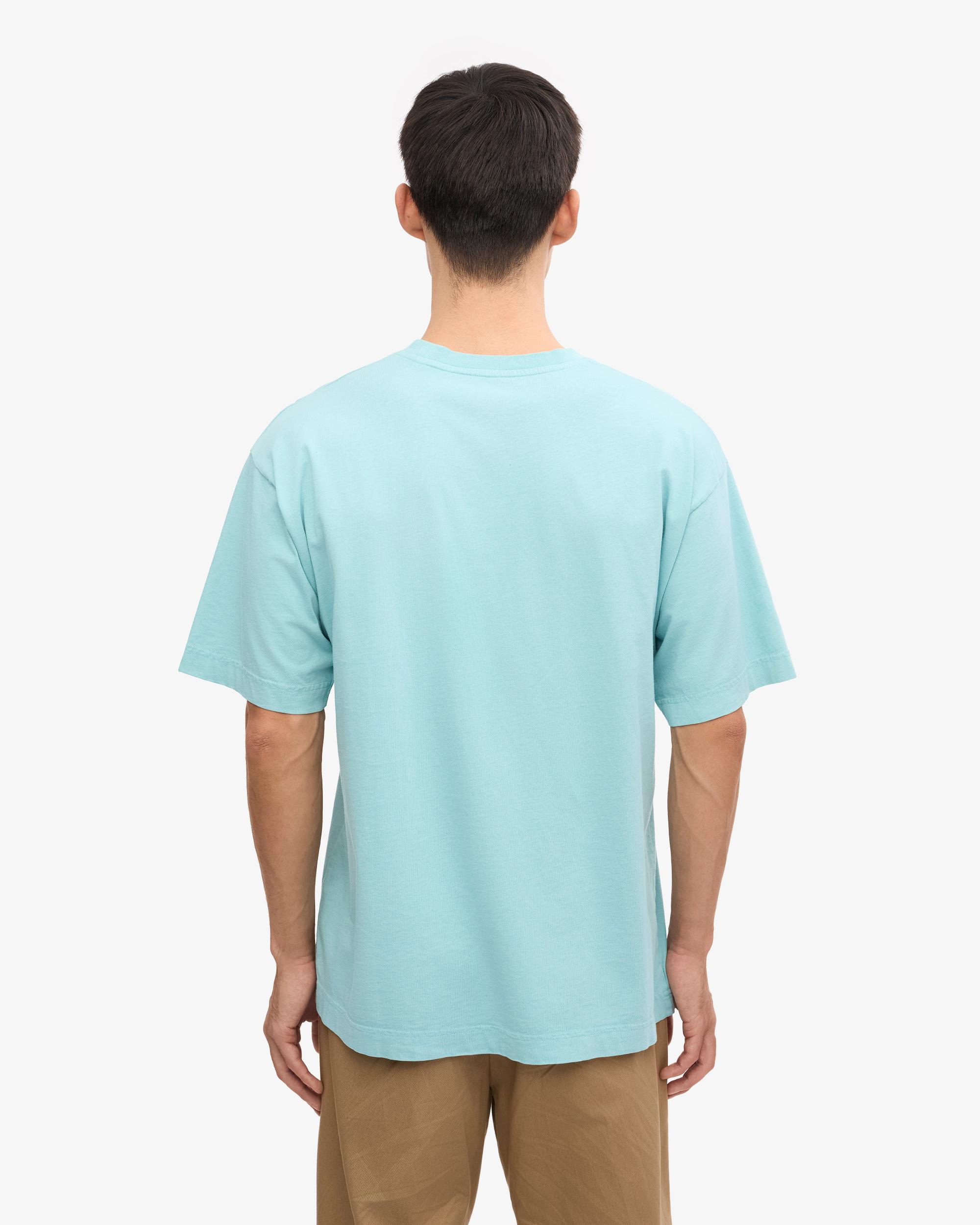 Oversized Organic T-Shirt - Spring Green Product Image