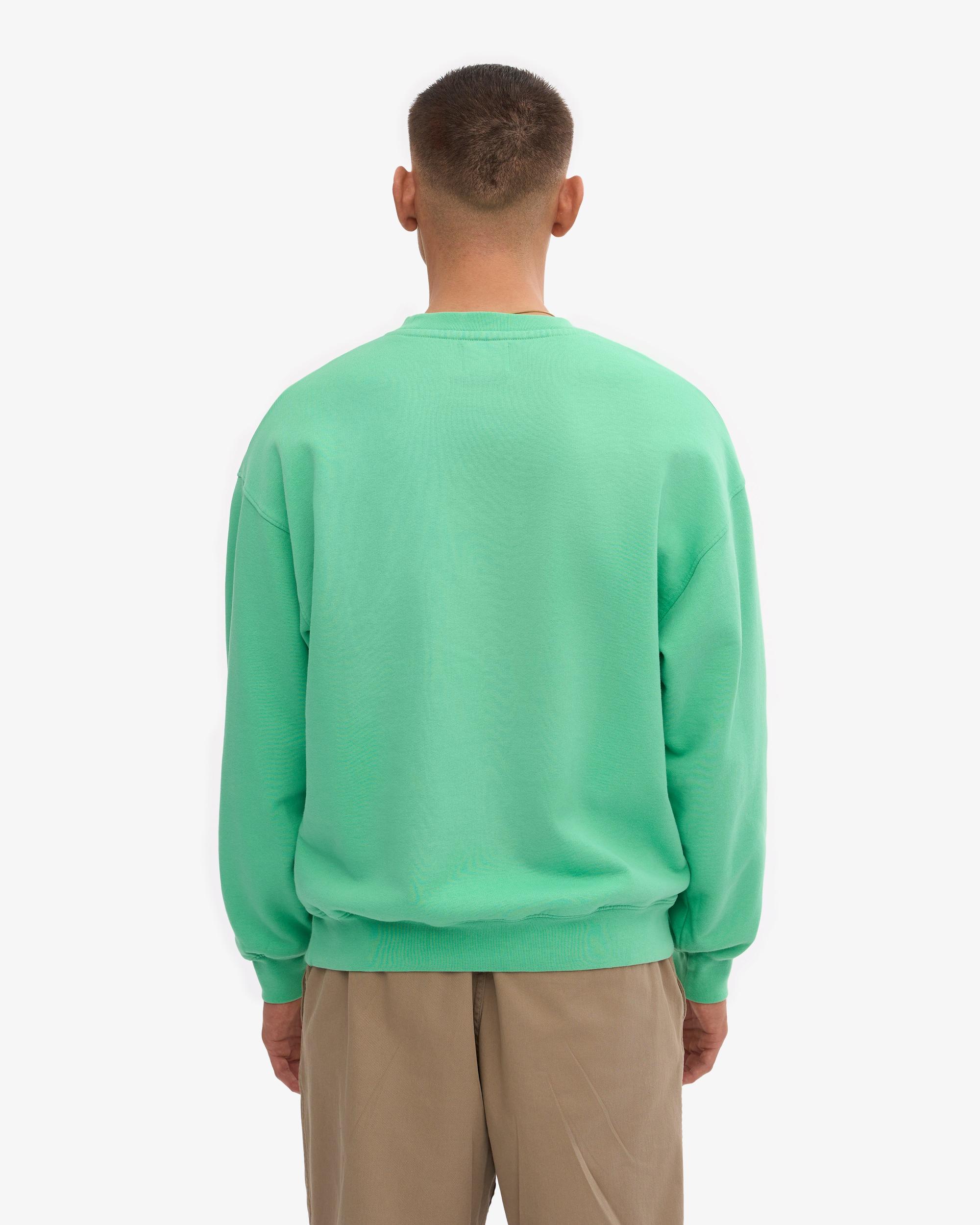 Organic Oversized Crew - Spring Green Product Image