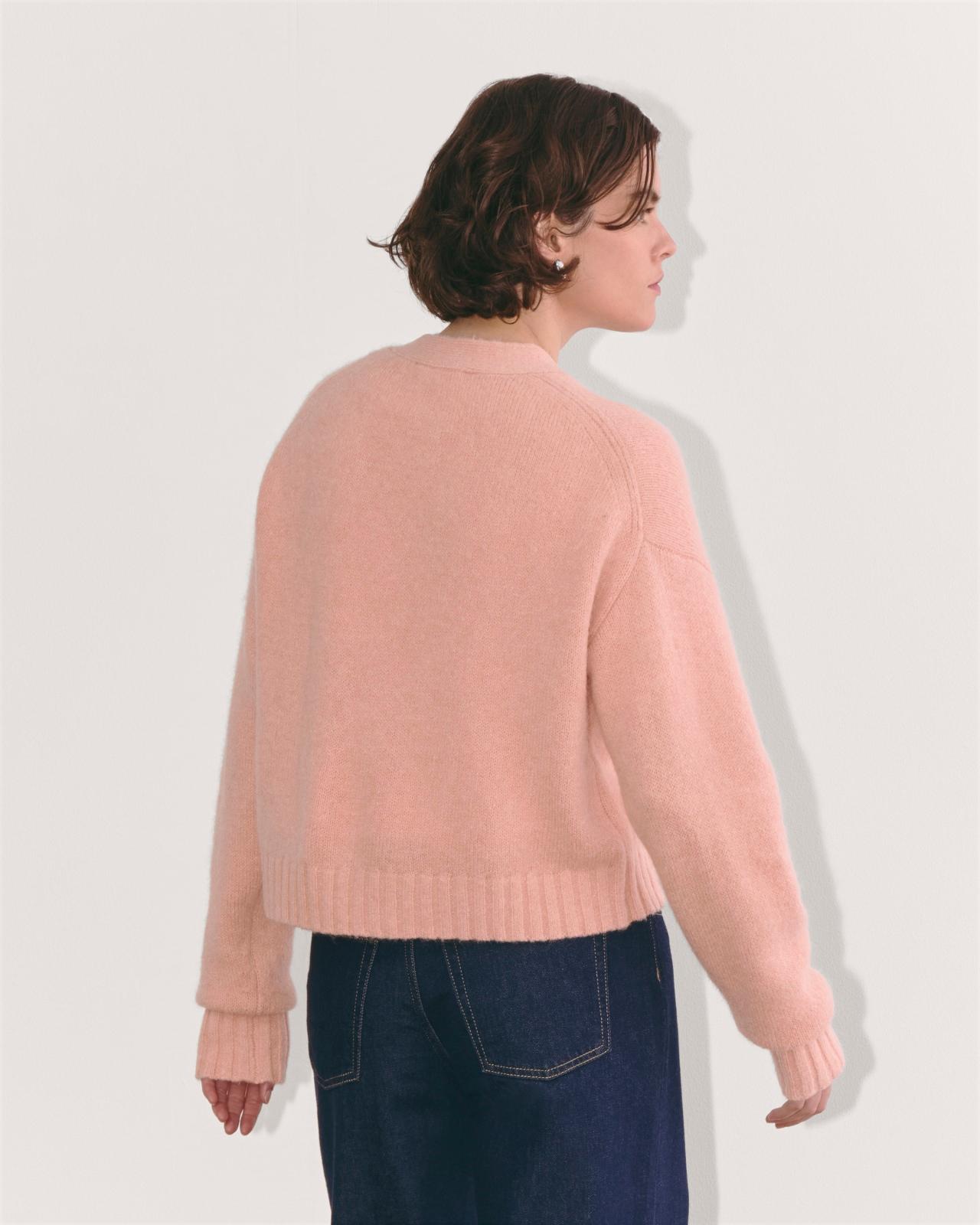 Womens Boxy Cardigan in Alpaca by Everlane Product Image