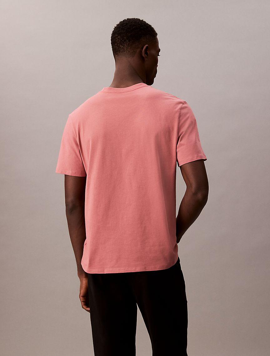 Stripe Logo Graphic Classic T-Shirt Product Image