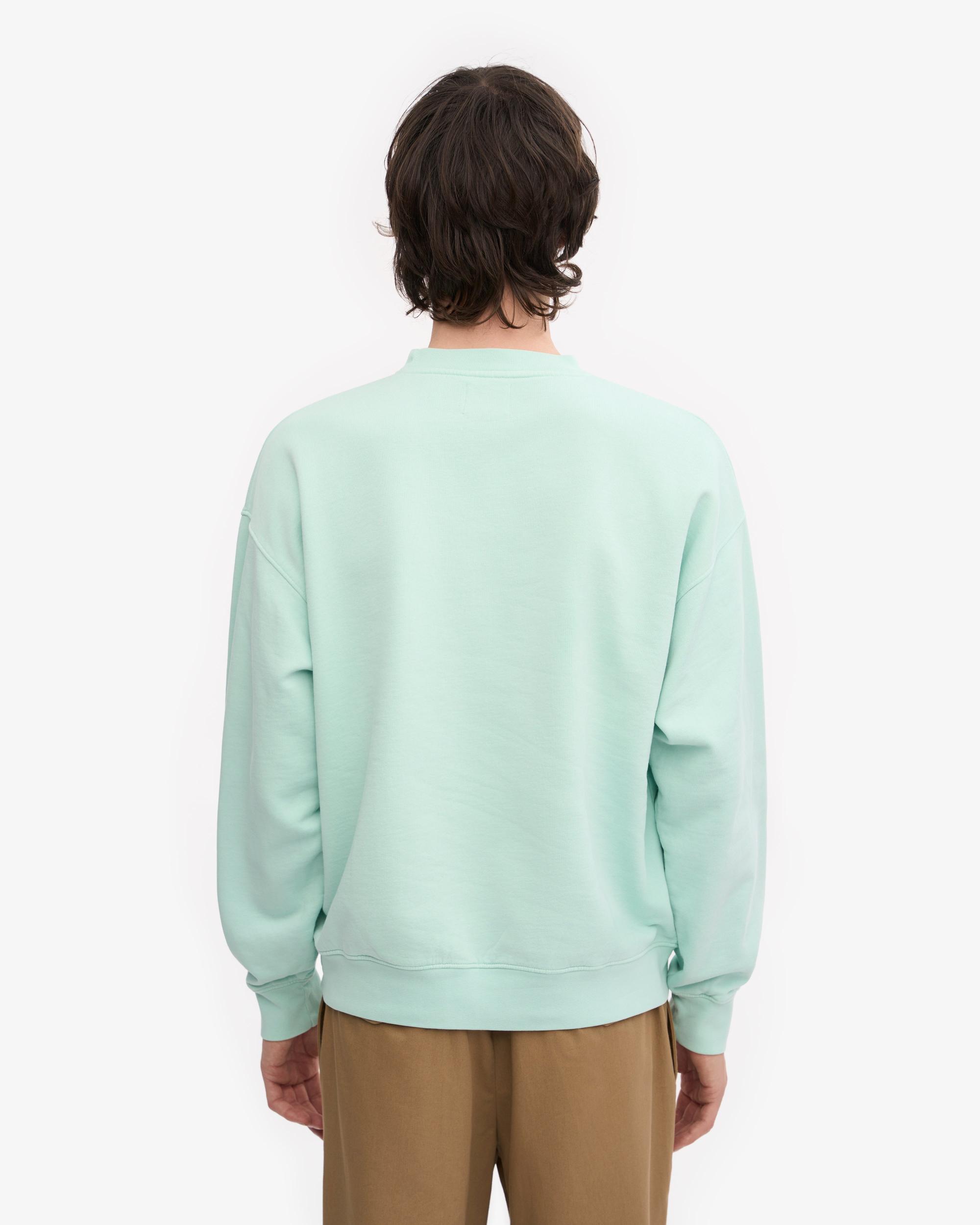 Organic Oversized Crew - Light Aqua Product Image