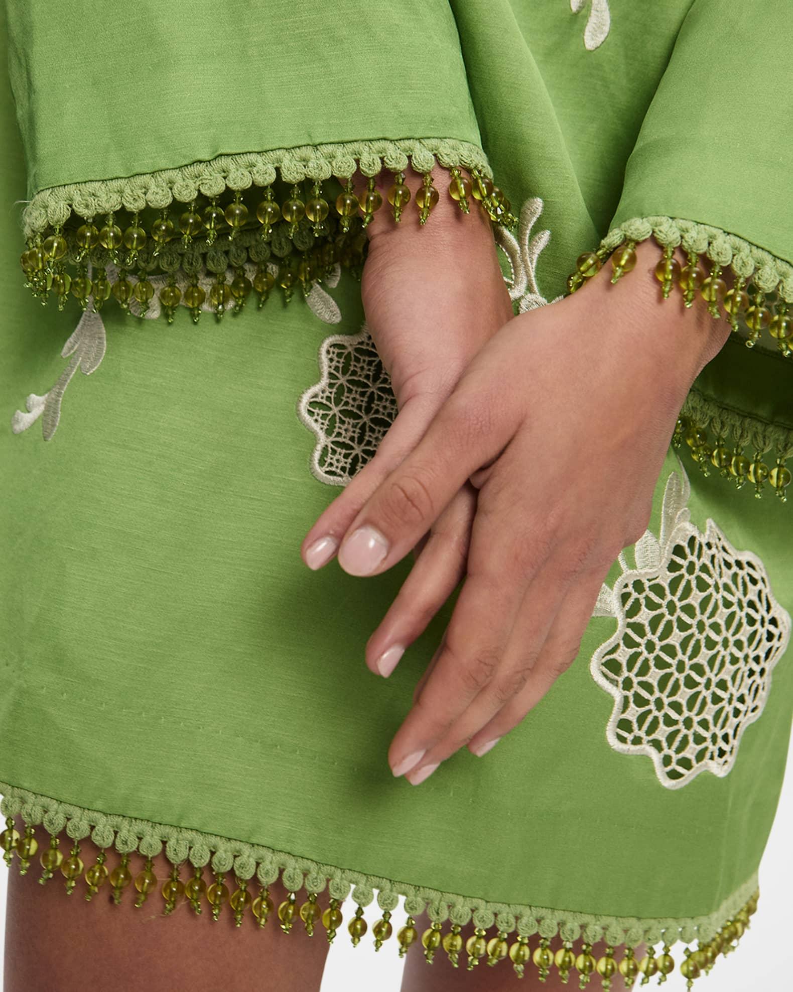 Luisa Embroidered Mini Dress Product Image