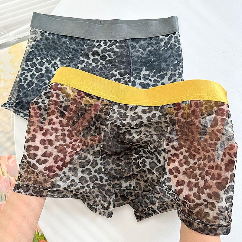 Leopard Print Boxer Brief / Set Product Image