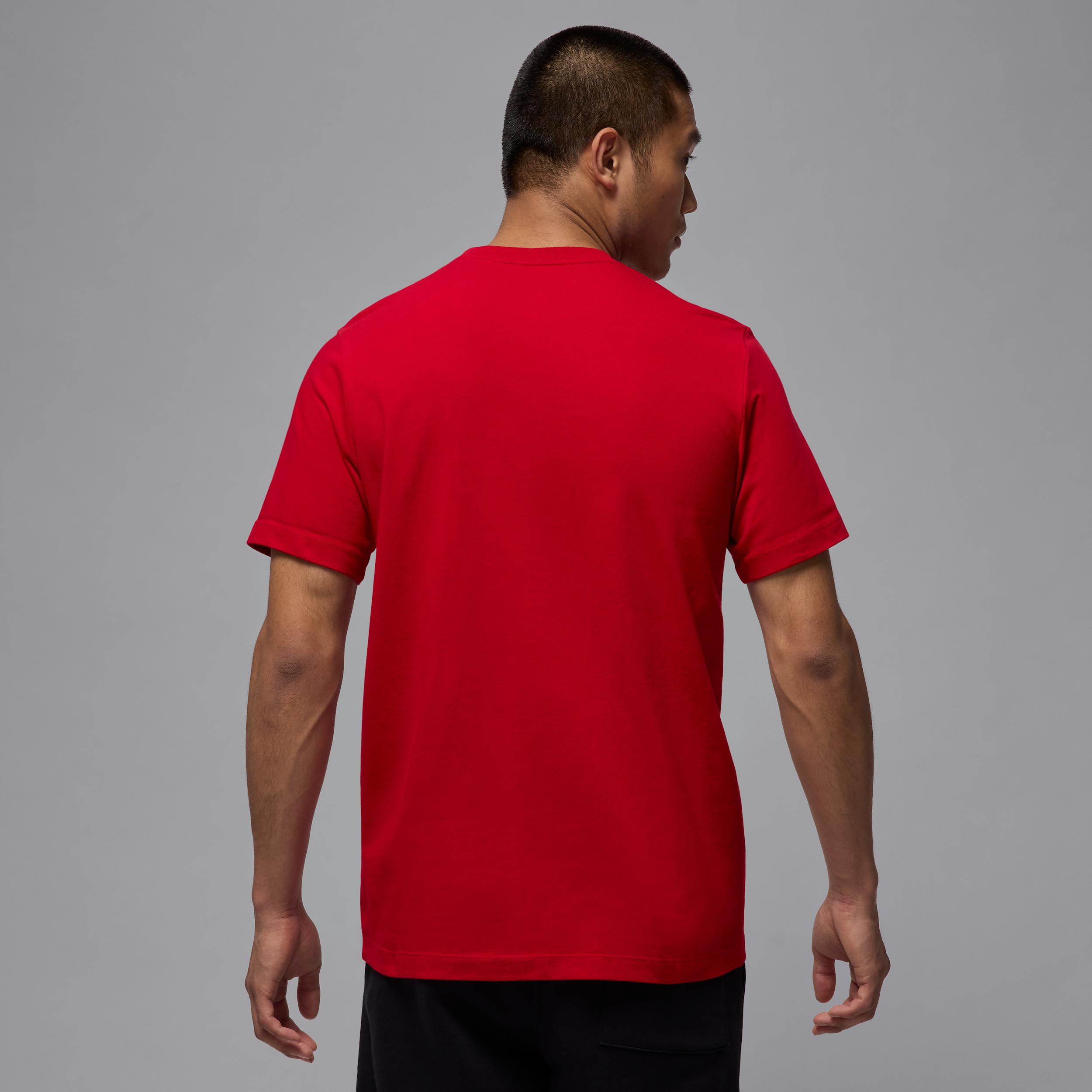 Mens Jordan Air T-Shirt | IB7353-687 Product Image