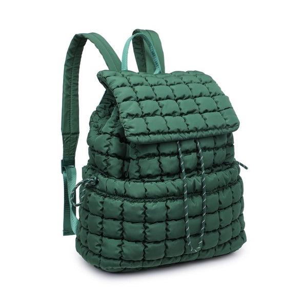 Quilted Puffer Nylon Backpack Product Image