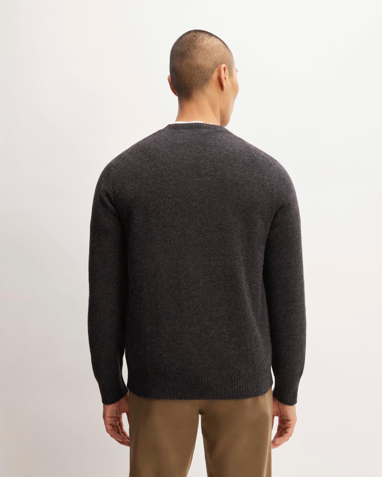 Mens Premium Merino Crew Neck Sweater by Everlane Product Image