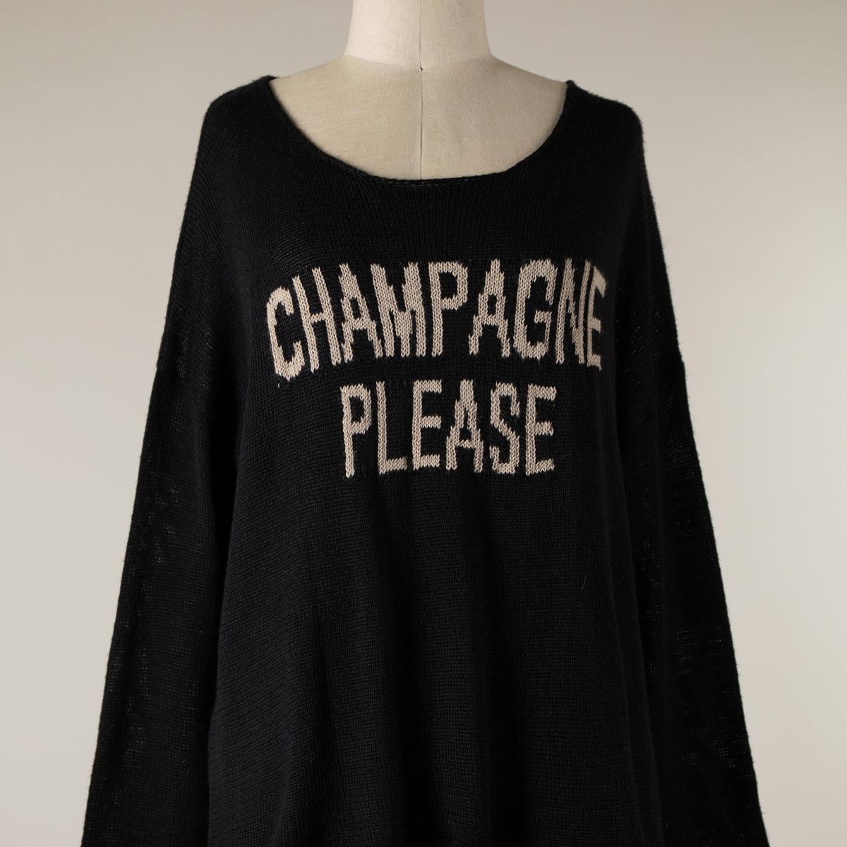 Champaigne Please Sweater Product Image