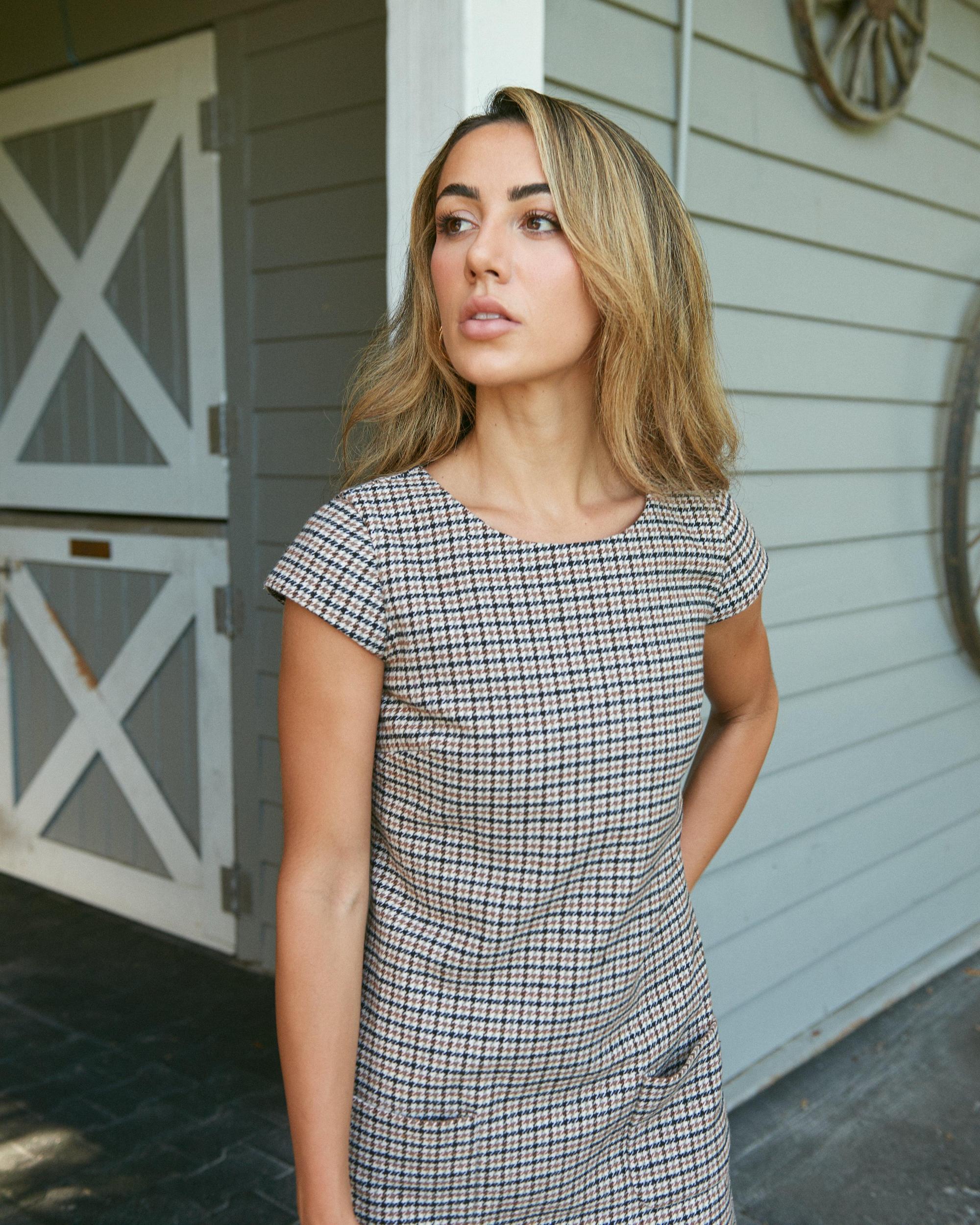 Felice Dress in Houndstooth Product Image
