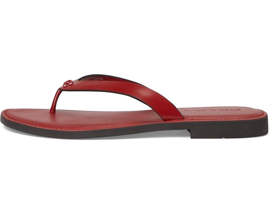 Capri Wrap Up Sandals Product Image