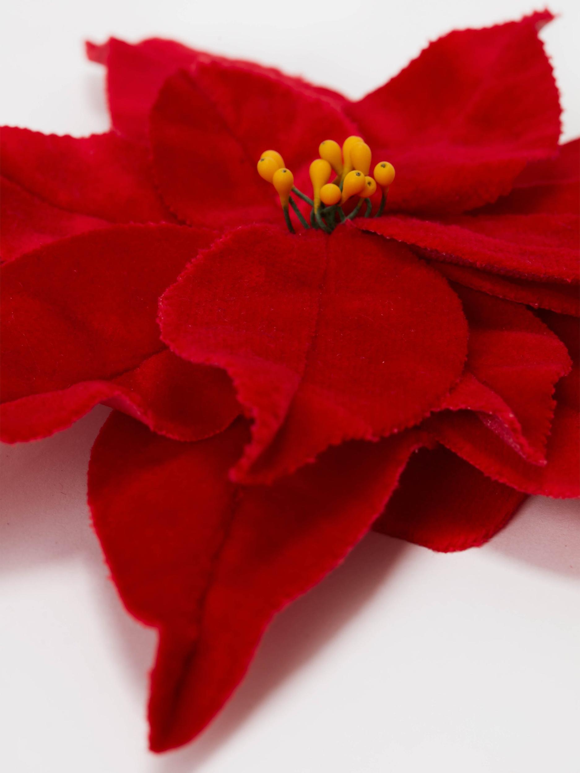 VELVET POINSETTIA BROOCH Product Image