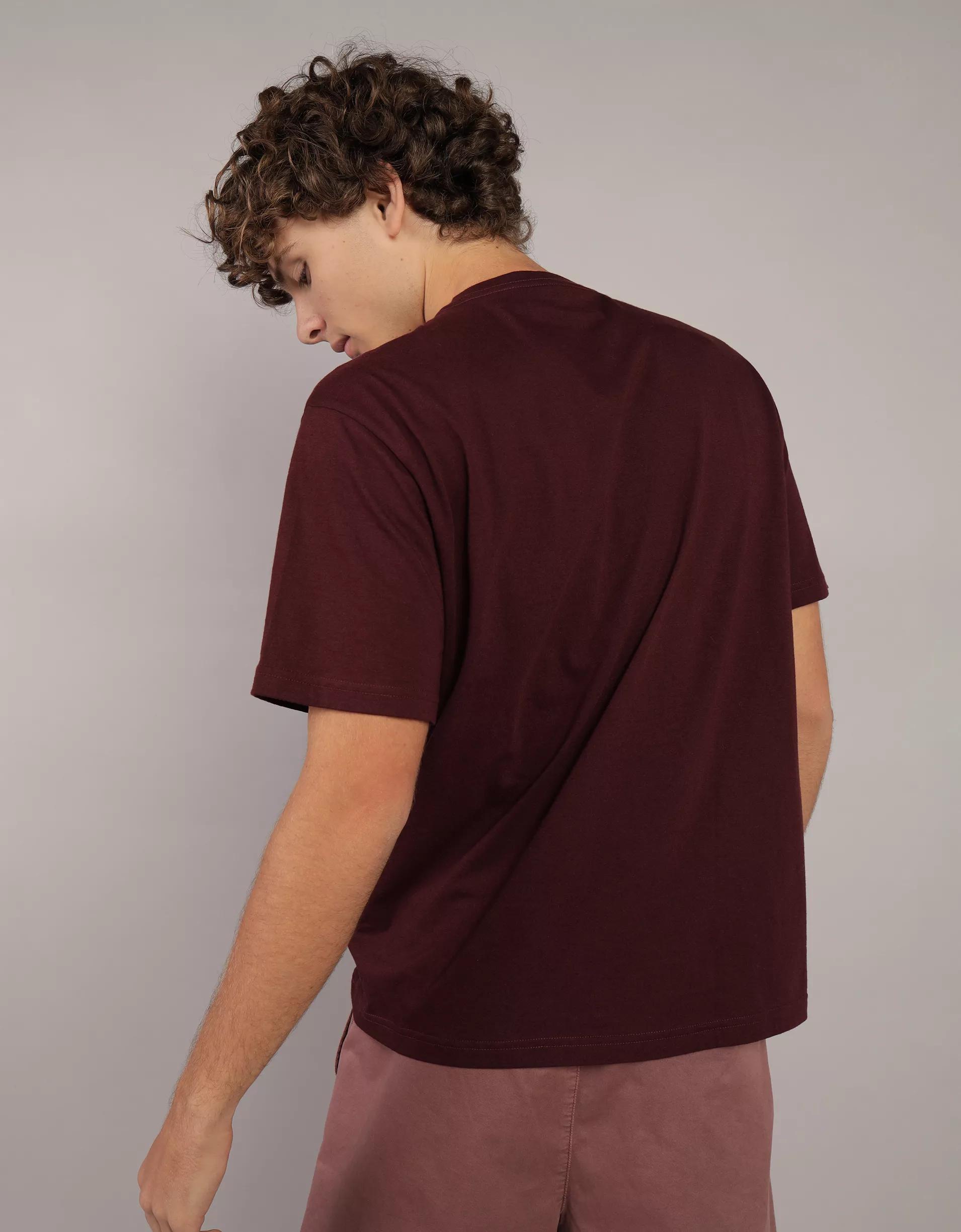 AE Icon Logo Graphic T-Shirt Product Image