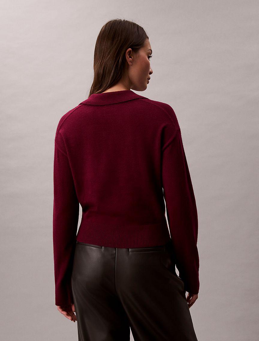 Merino Wool Blend Relaxed Polo Sweater Product Image