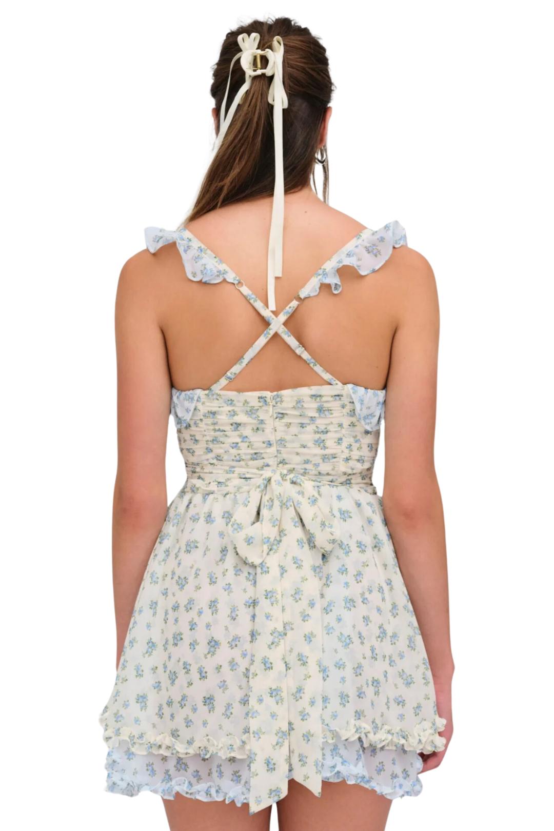 Chateau Mini Dress Product Image