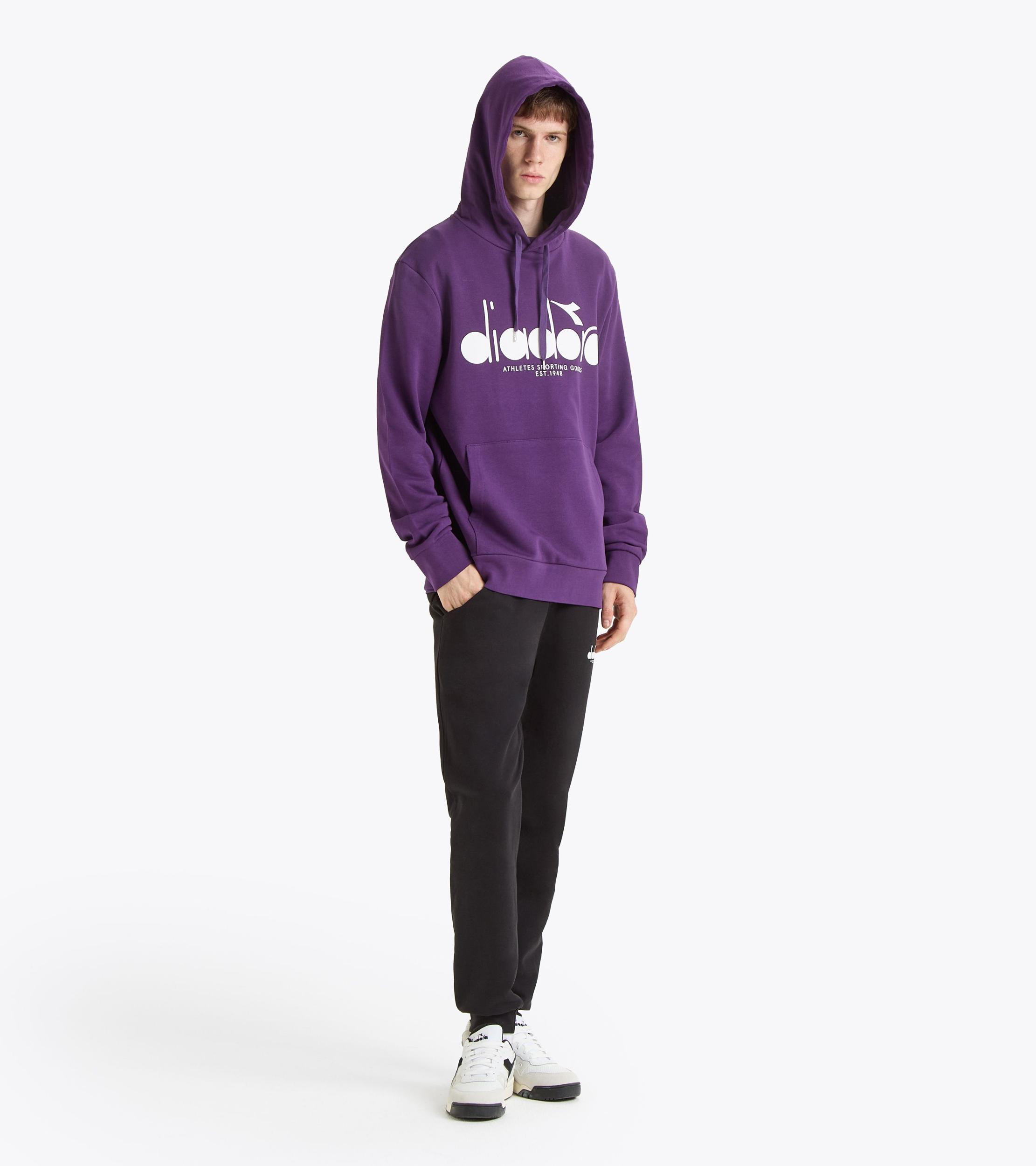 HOODIE LOGO Product Image