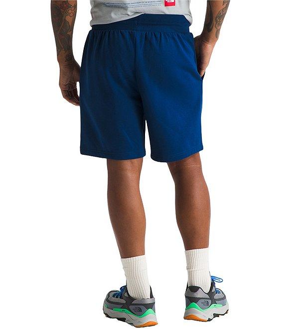 The North Face Box NSE Regular Shorts Product Image
