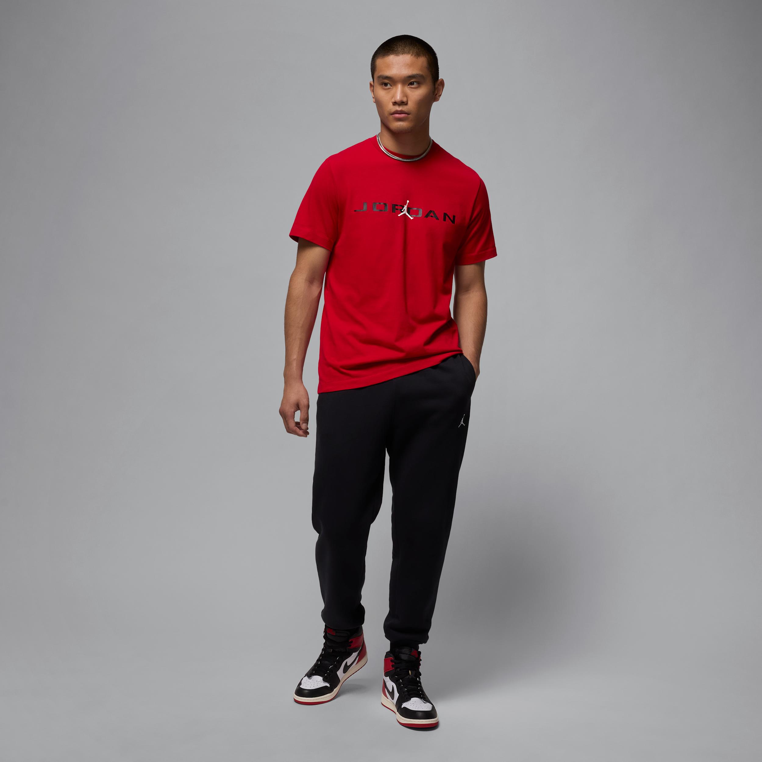 Mens Jordan Air T-Shirt | IB7353-687 Product Image