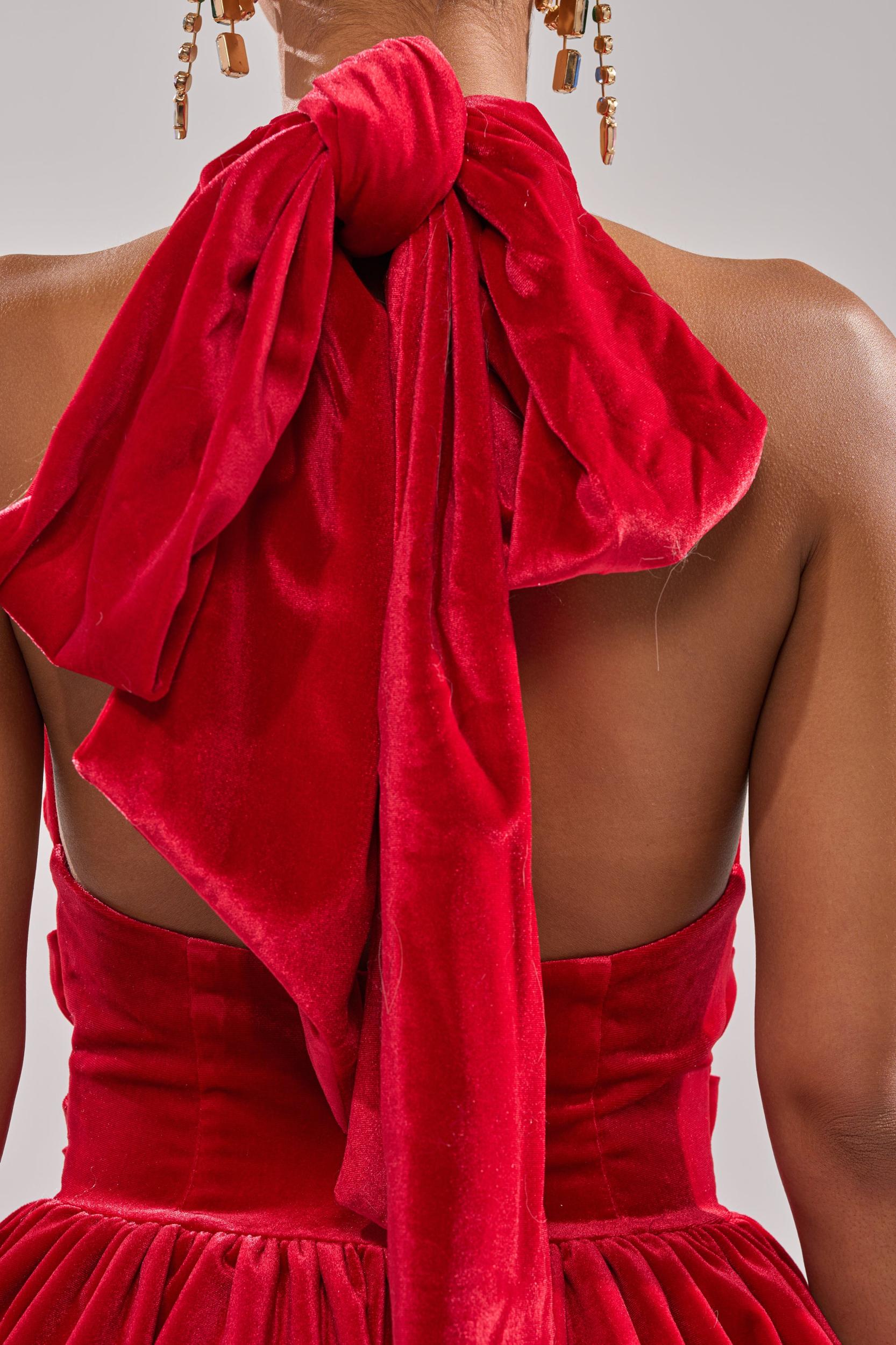 RUBY ROSE VELVET MINI DRESS Product Image