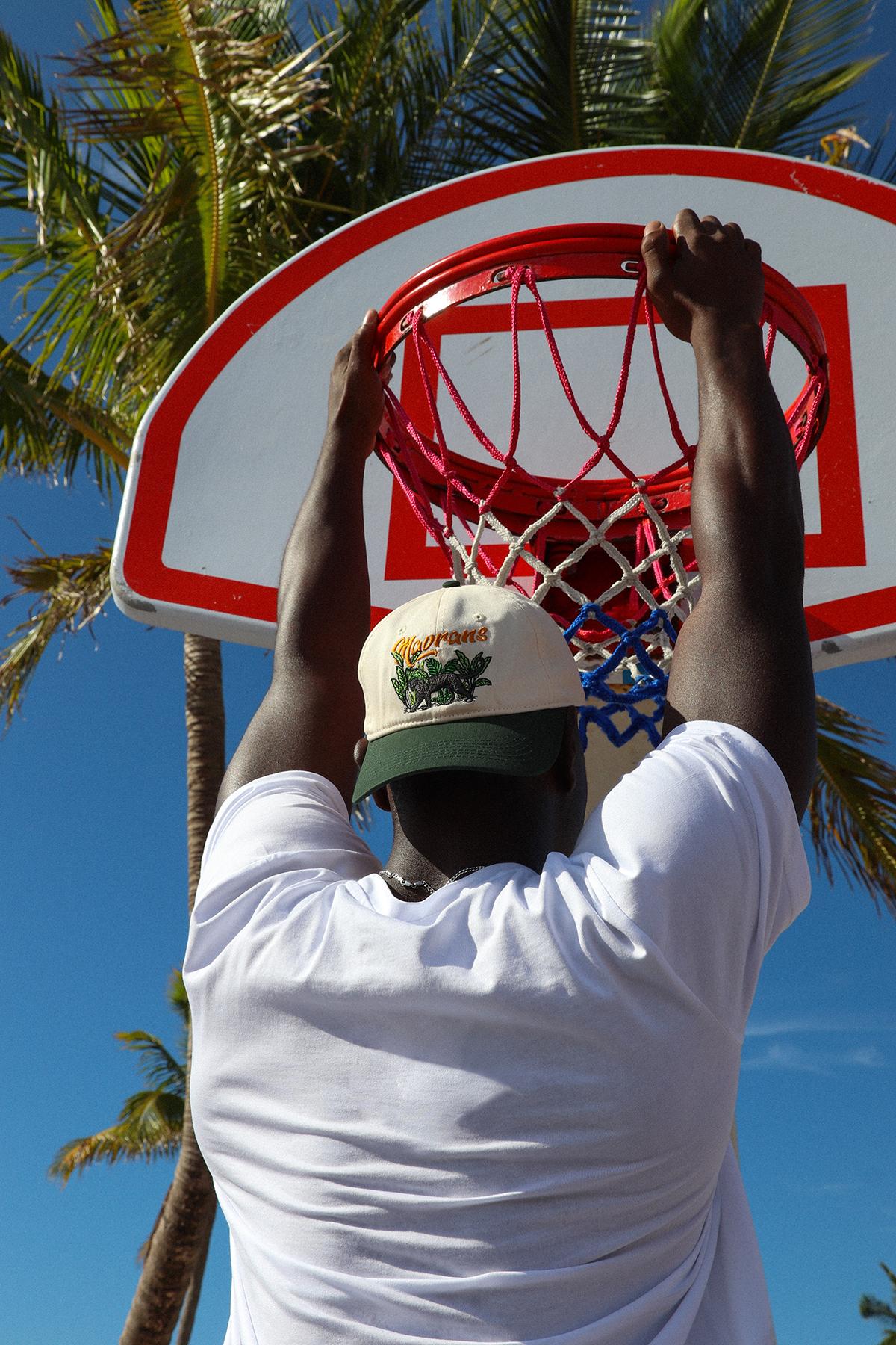 Panther Dad Hat Product Image