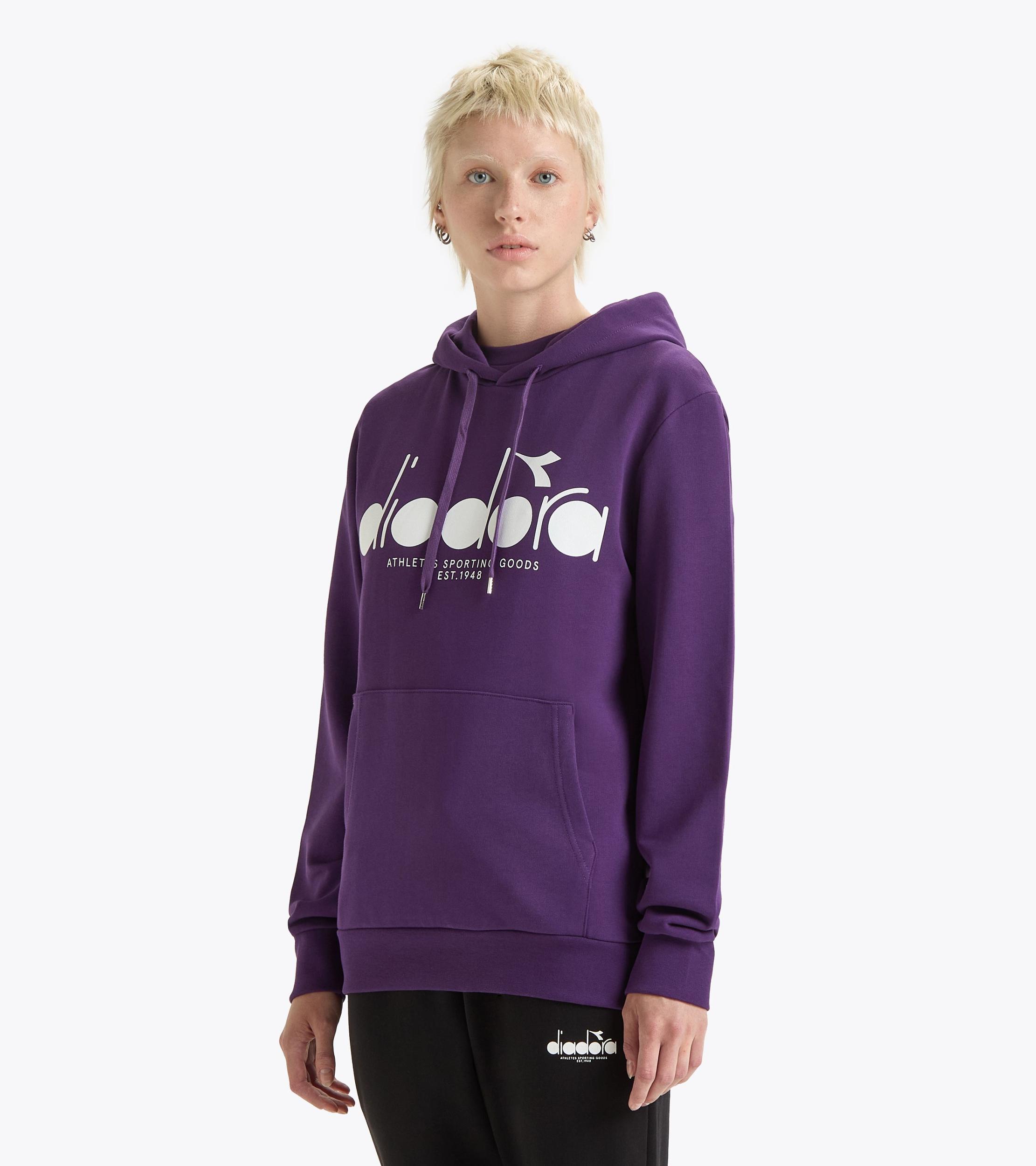 HOODIE LOGO Product Image