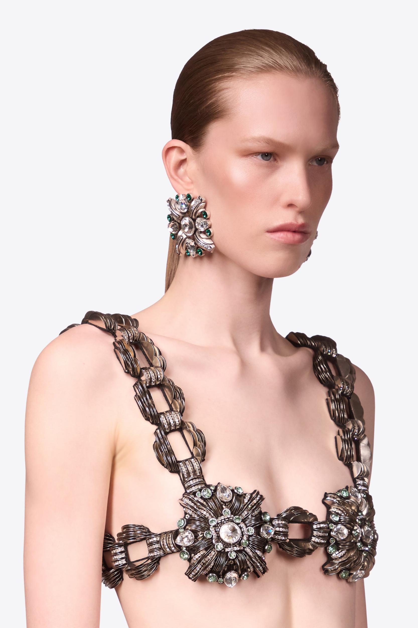 Crystal Brooch Earrings Product Image