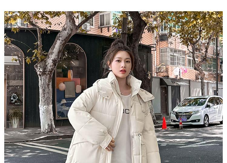 Stand Collar Plain Hood Zip Puffer Jacket Product Image