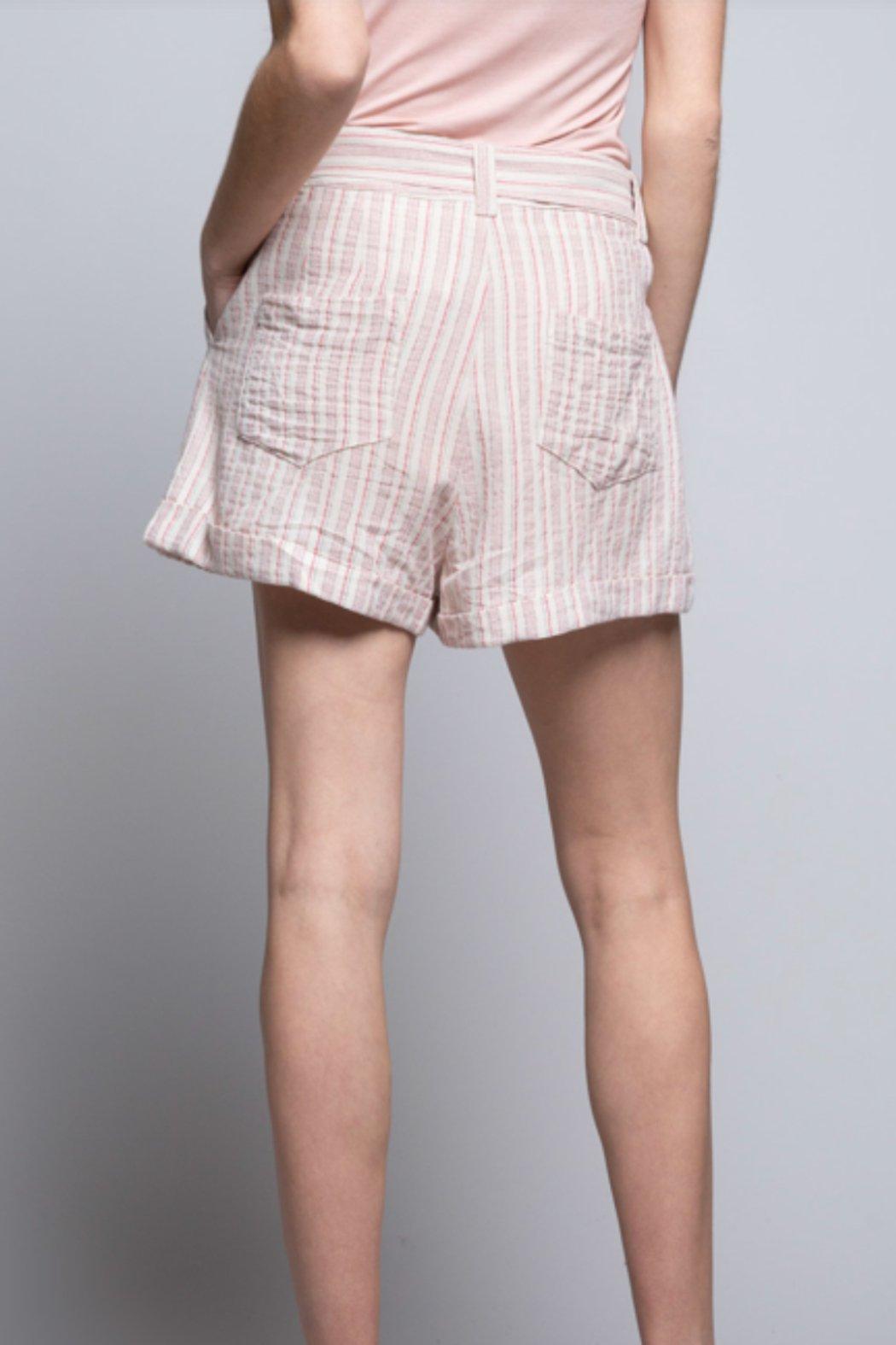 Candy Pop Linen Shorts Product Image