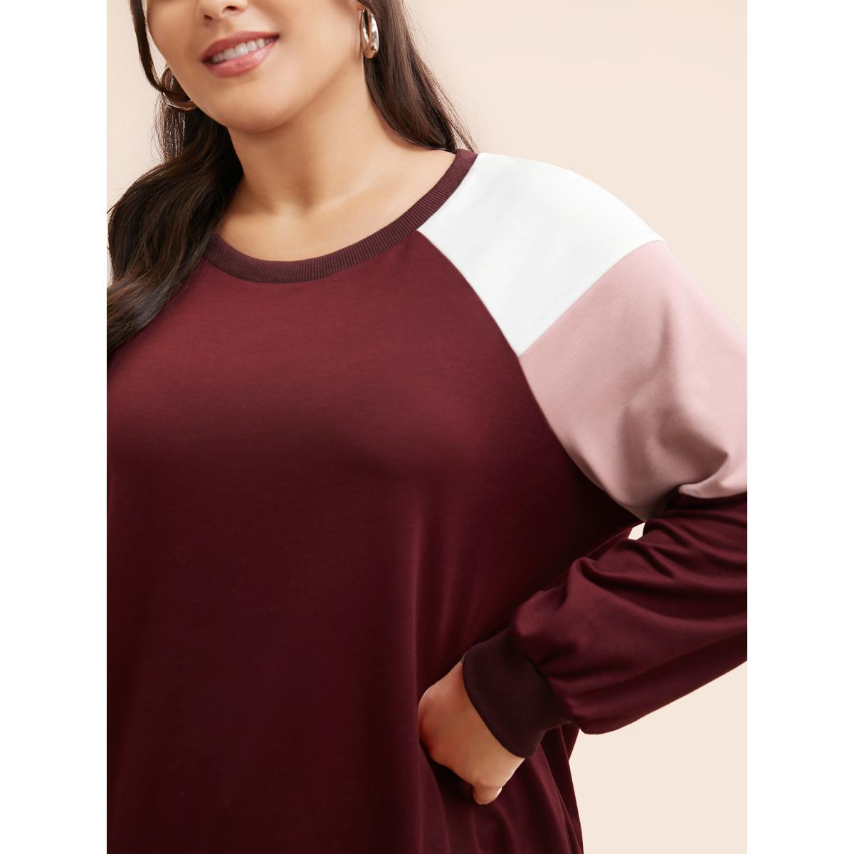 Plus Size Colorblock Contrast Raglan Sleeve Sweatshirt Women Multicolor Casual Contrast Round Neck Everyday Sweatshirts BloomChic 26/4X Product Image