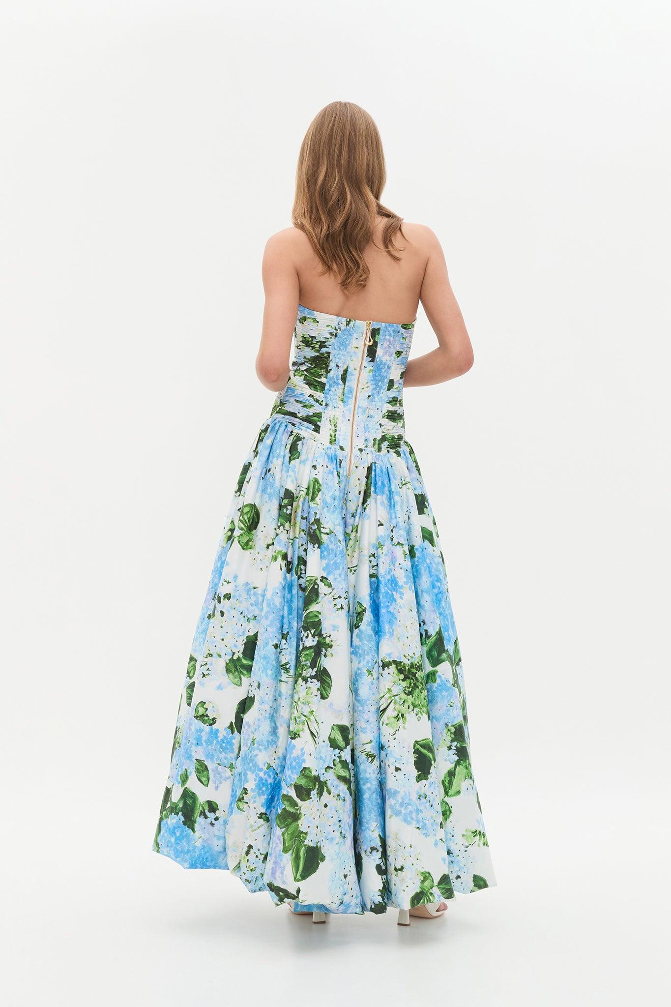 Behold Maxi Dress Product Image