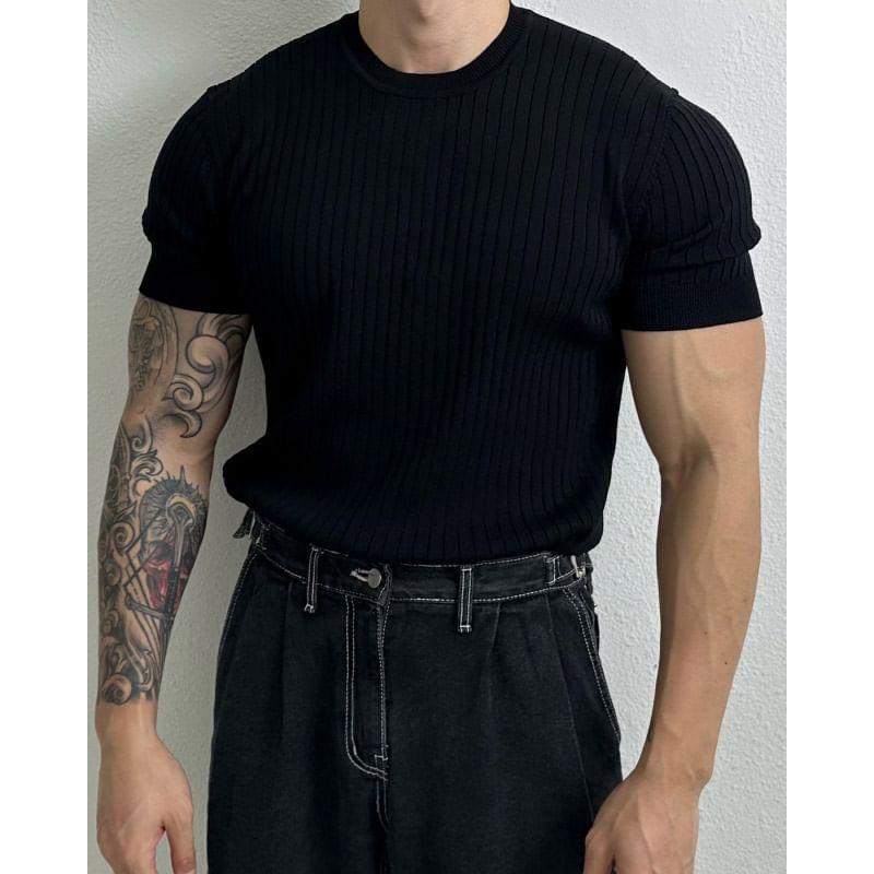 Short-Sleeve Crew Neck Plain Ribbed Knit Top Product Image
