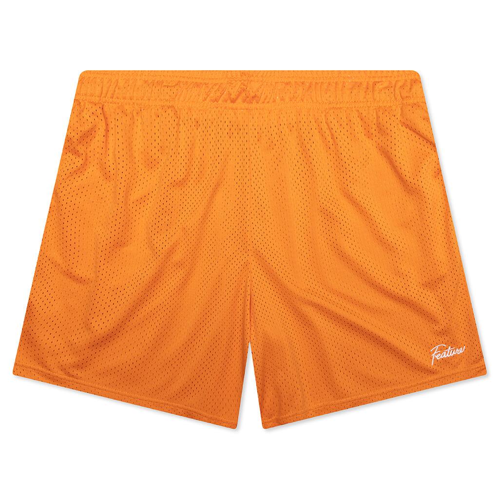 West Mesh Shorts - Crimson Male Product Image