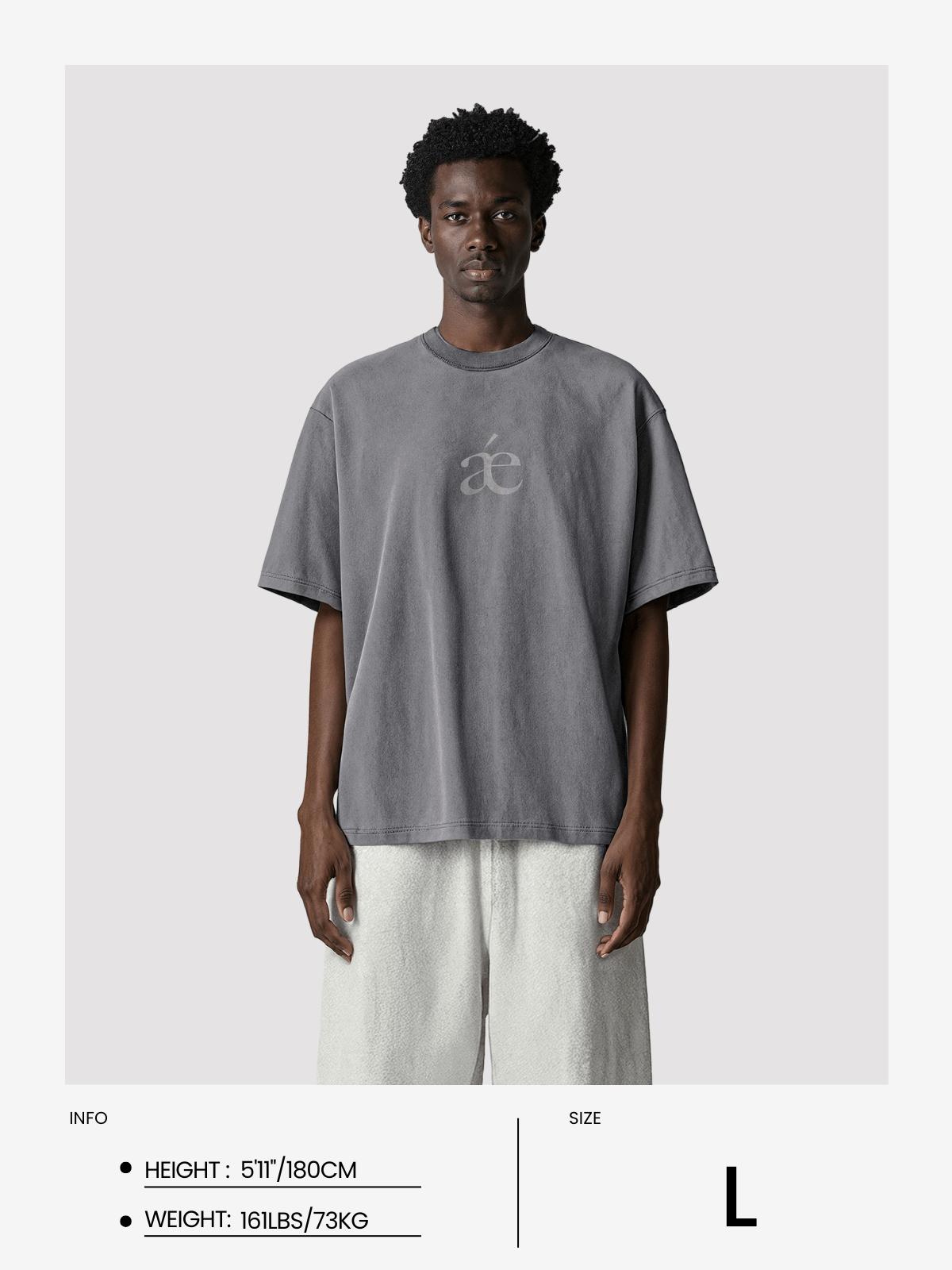 Aelfric Eden Essential aé Washed Tee Product Image