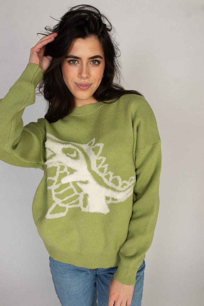 Dinosaur Sweater Product Image