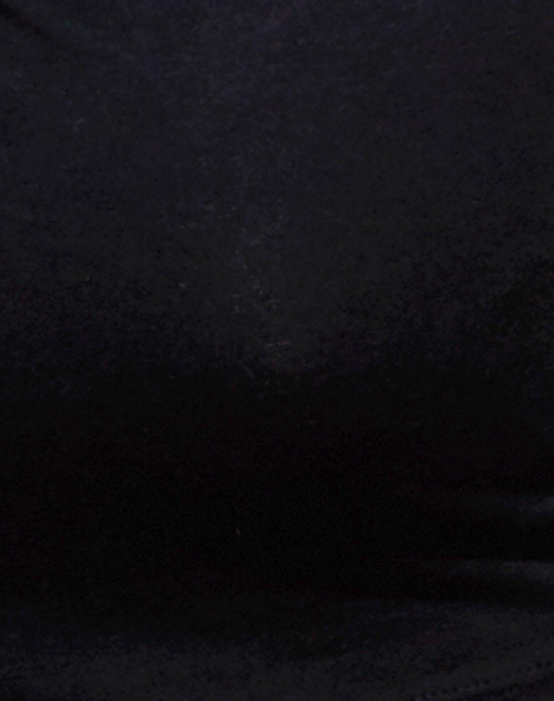 Gee Crop Top in Black Product Image